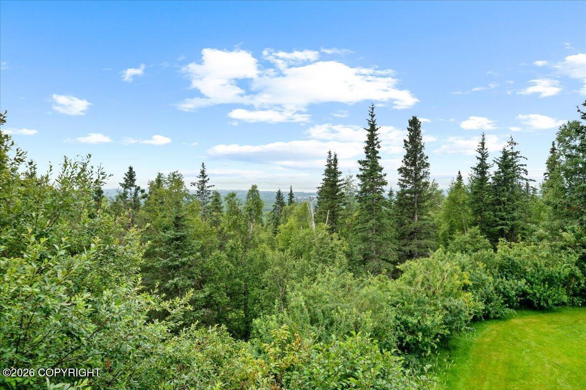 6132 Farpoint Drive Property Photo 61