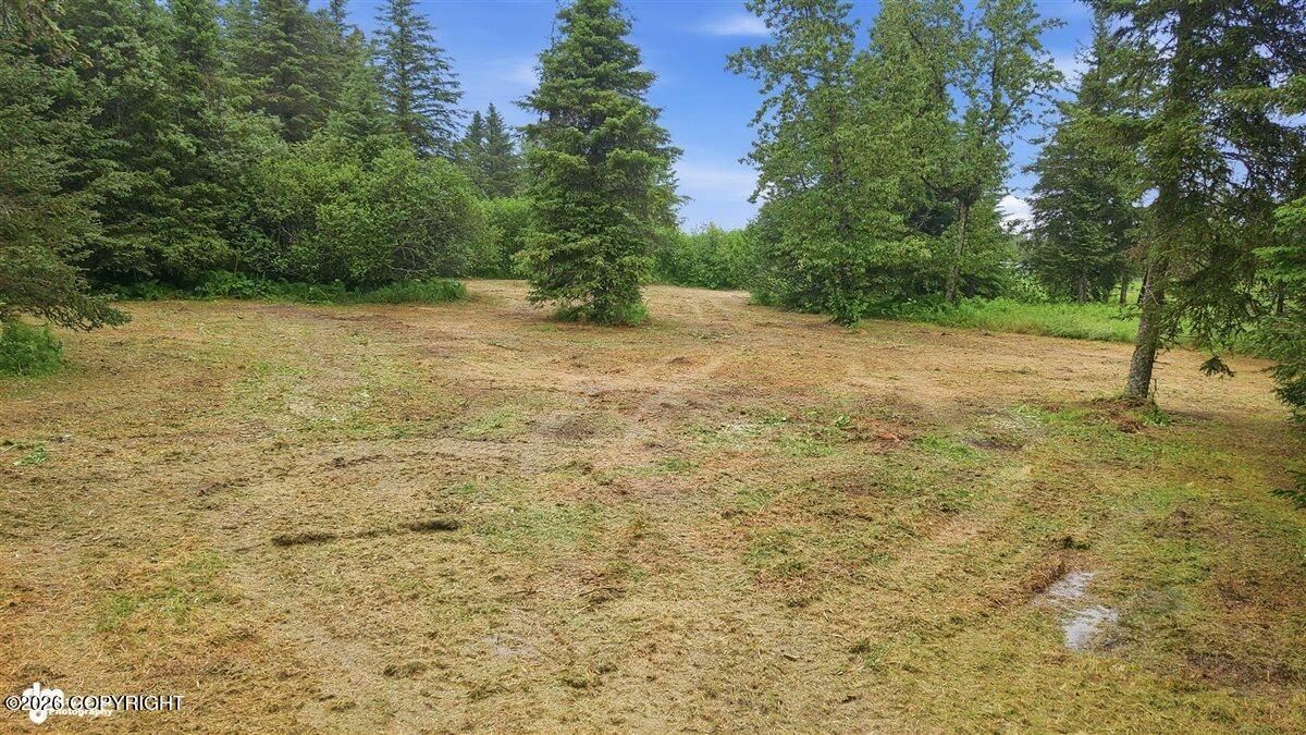 32625 Shorebird Lane Property Photo 20