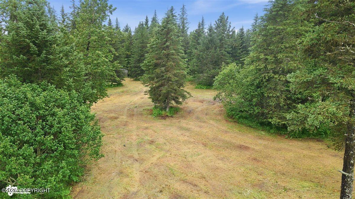 32625 Shorebird Lane Property Photo 21