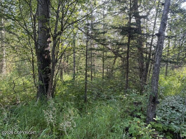 4451 E Merrill Circle Property Photo 5