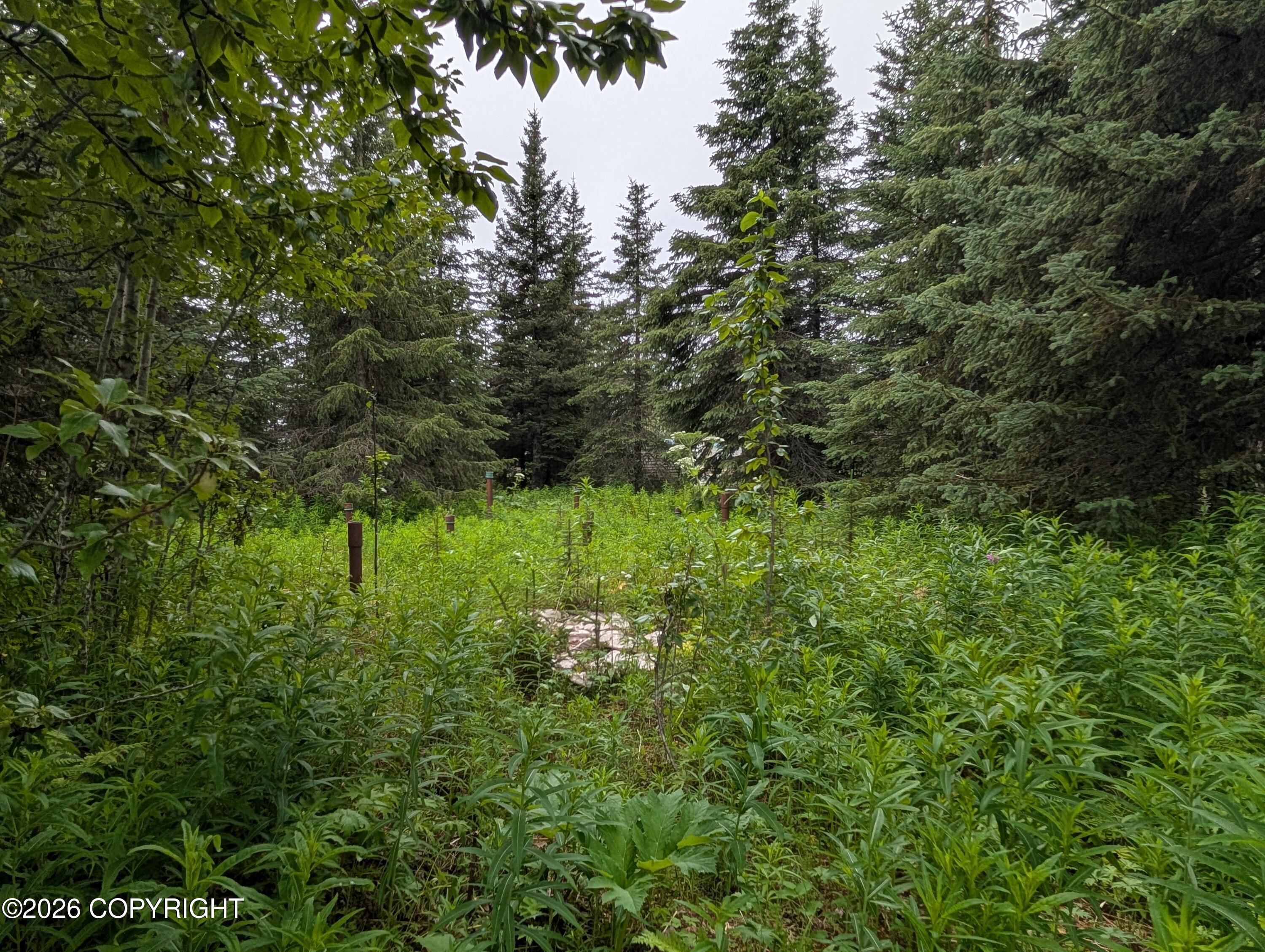 71340 Greenfield Road Property Photo 24