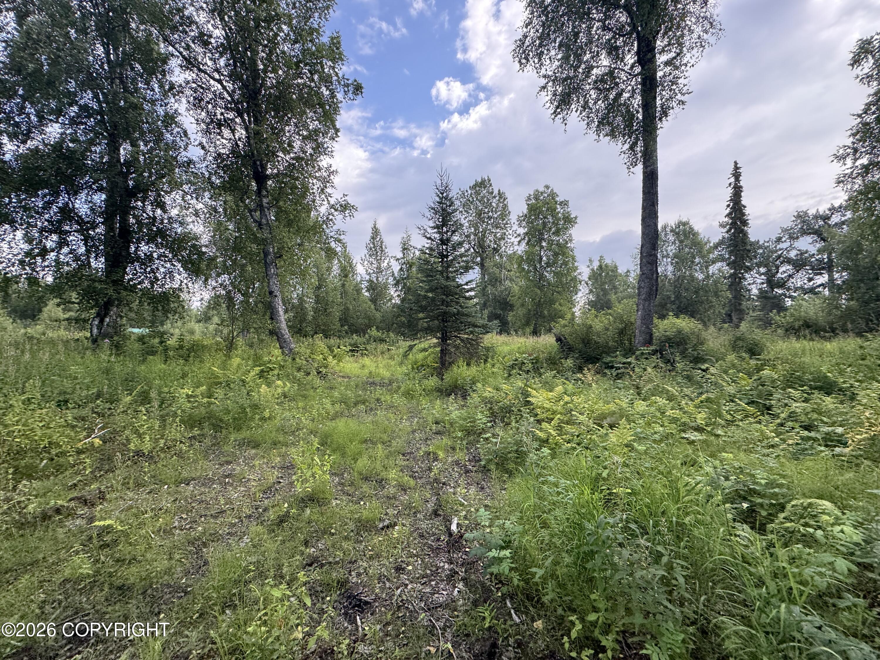 11360 E Wolf Trail Property Photo 1