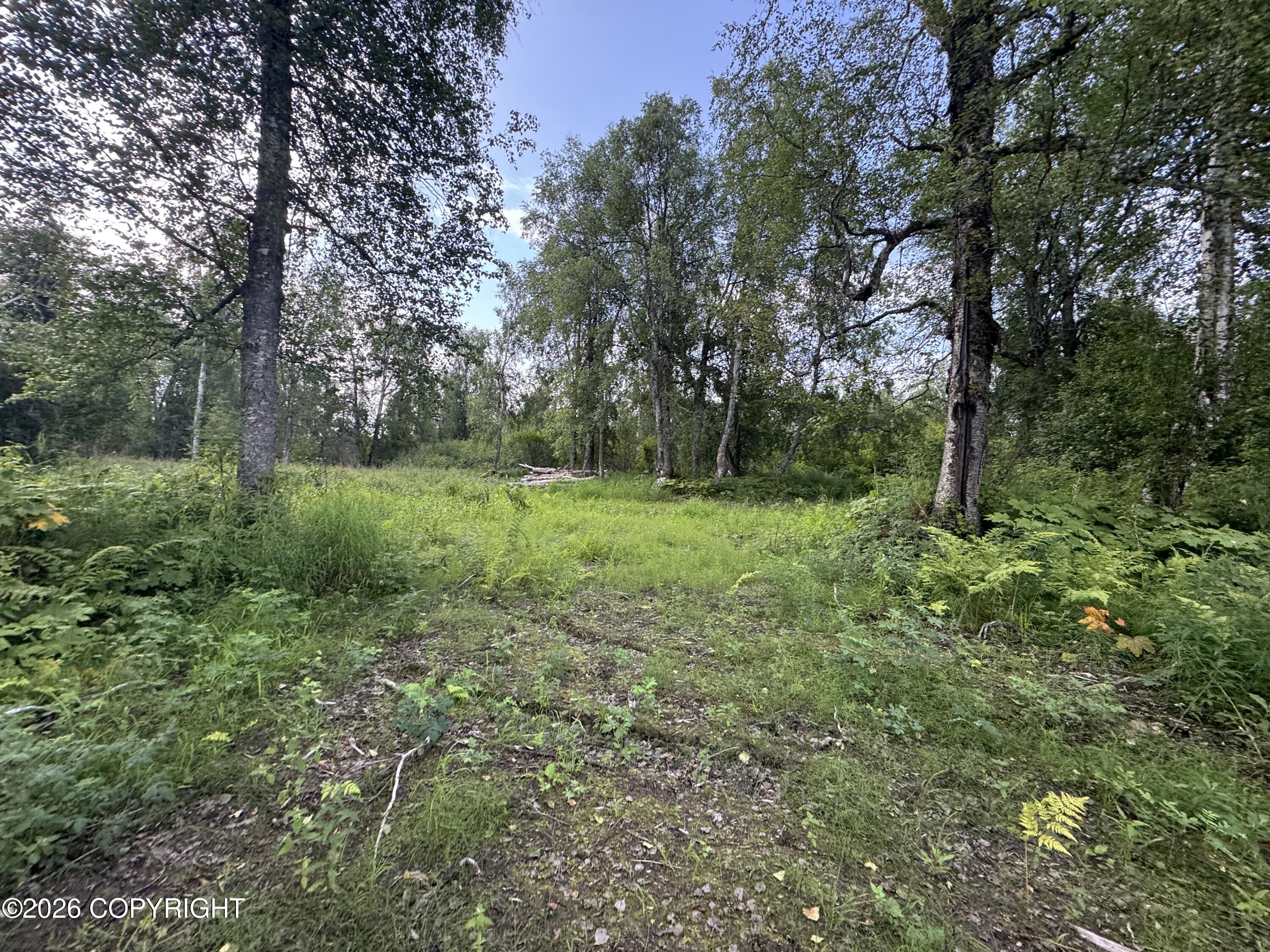 11360 E Wolf Trail Property Photo 2