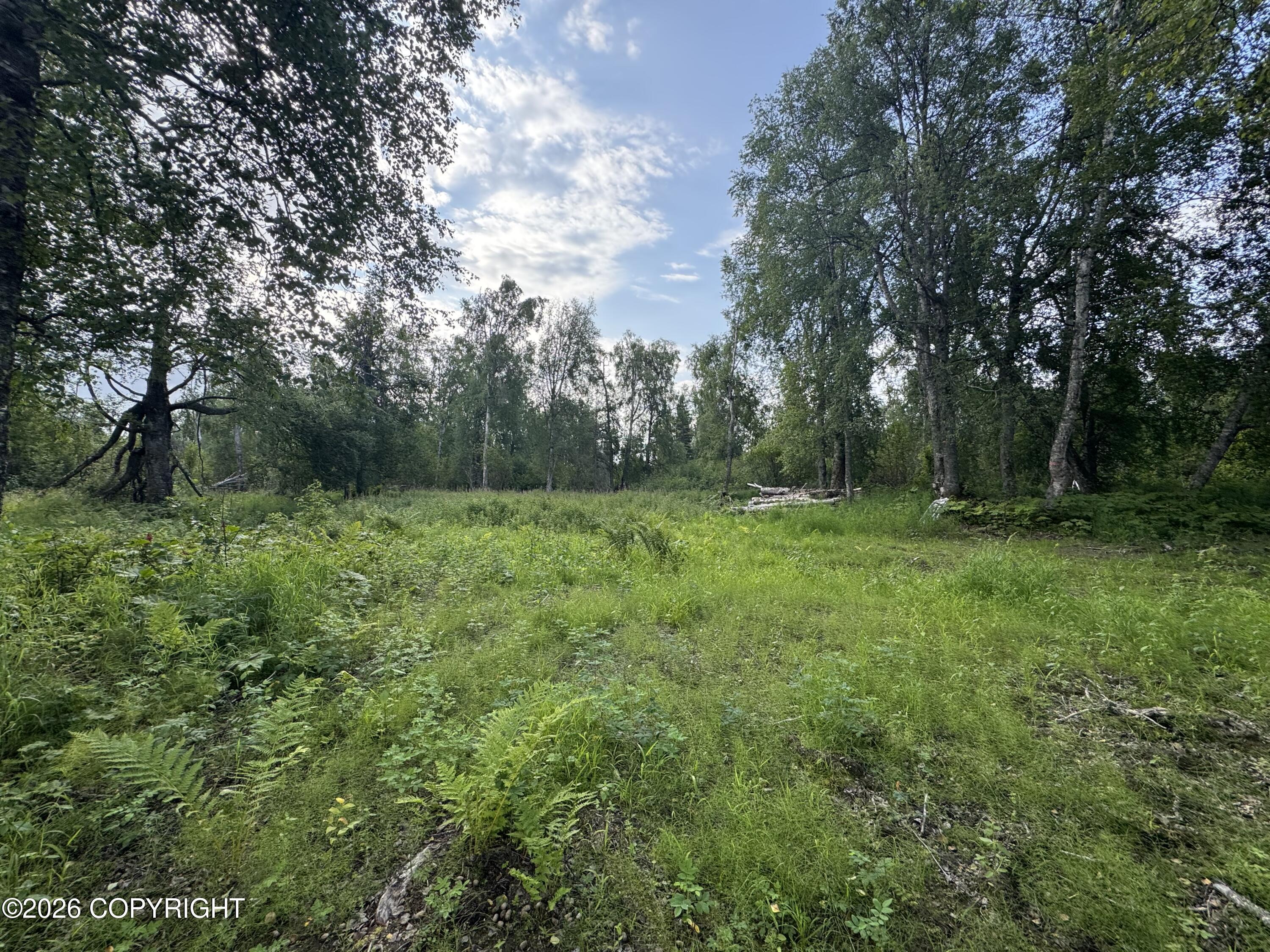 11360 E Wolf Trail Property Photo 3