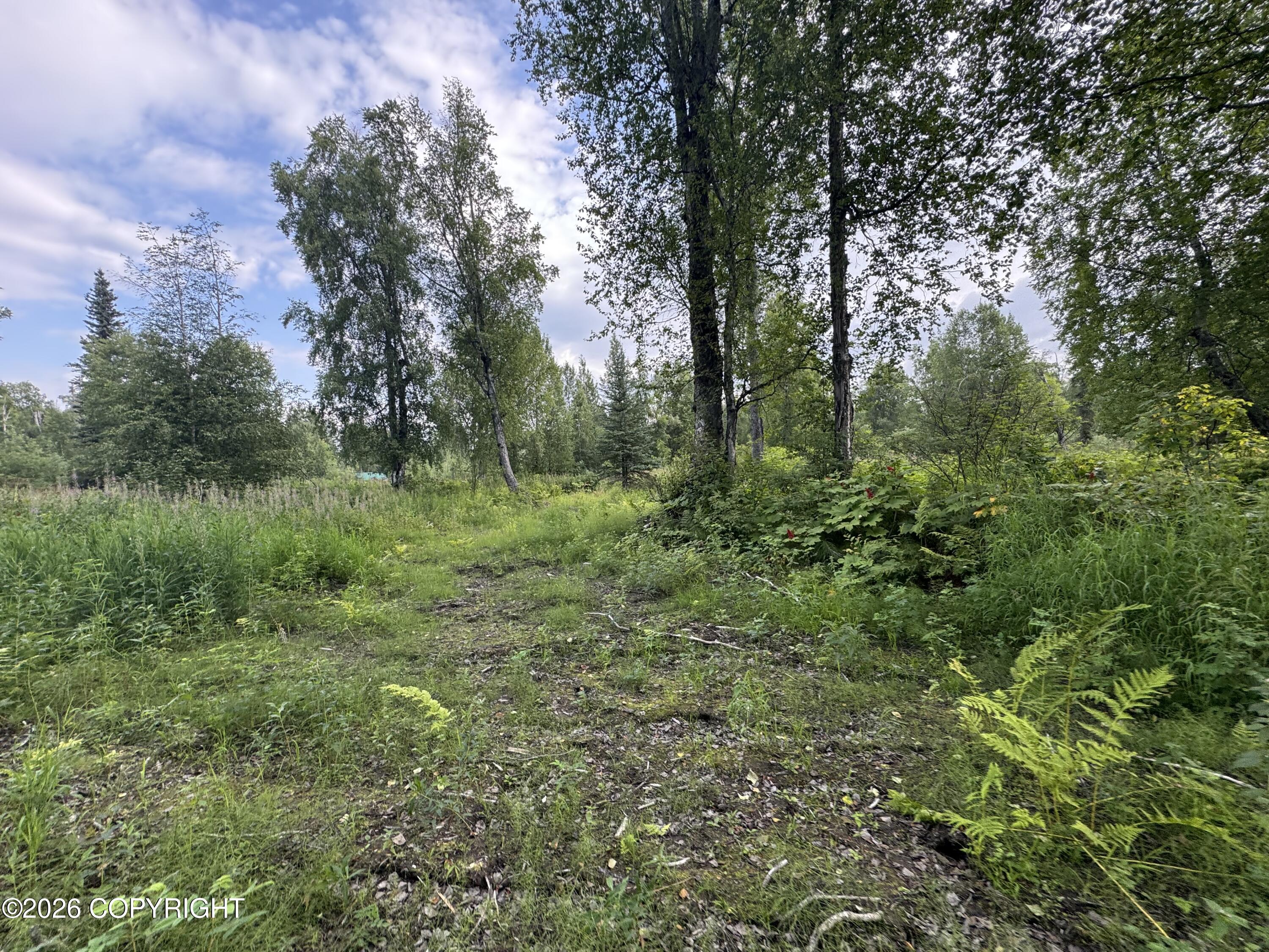 11360 E Wolf Trail Property Photo 7