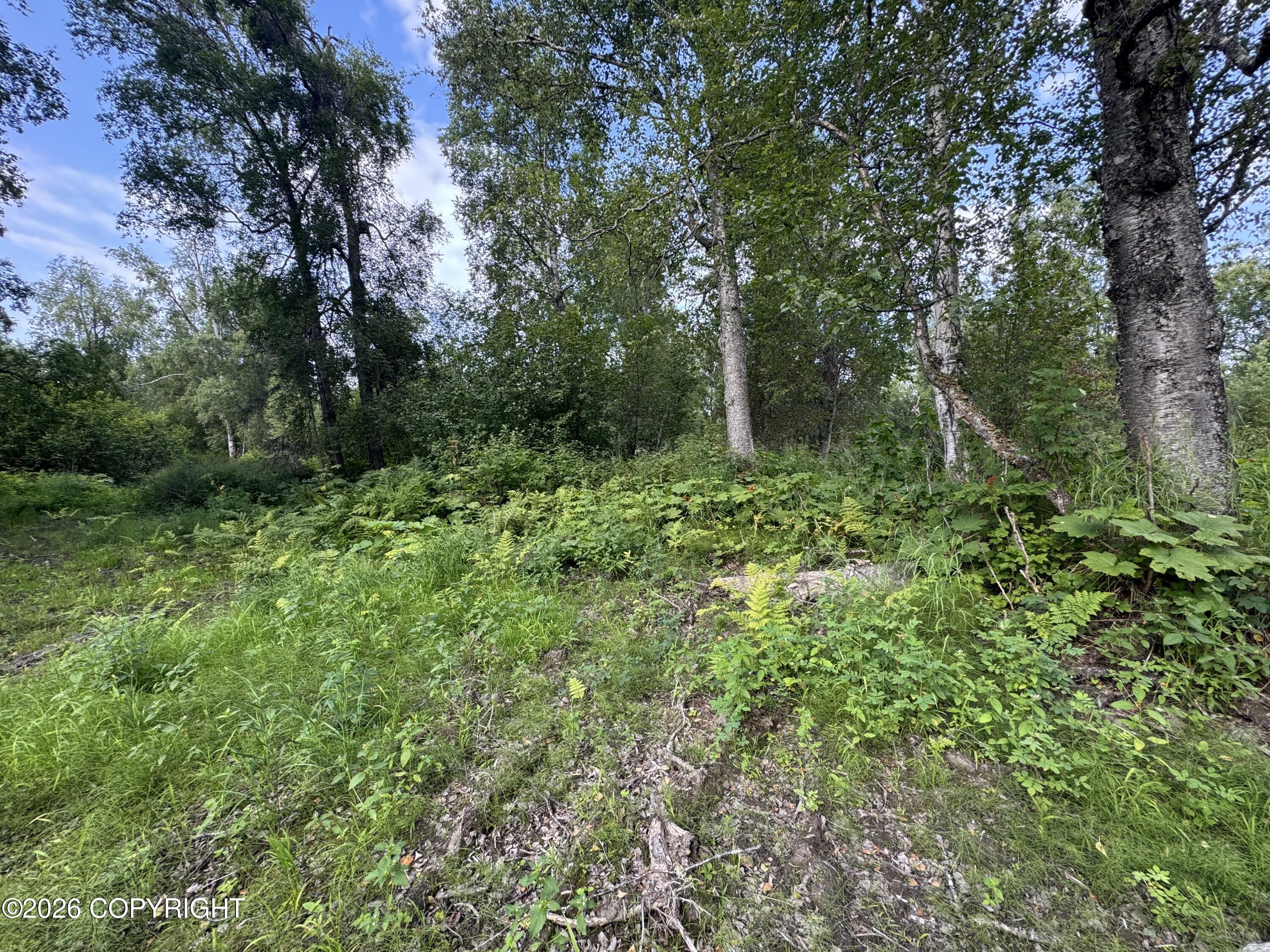 11360 E Wolf Trail Property Photo 8