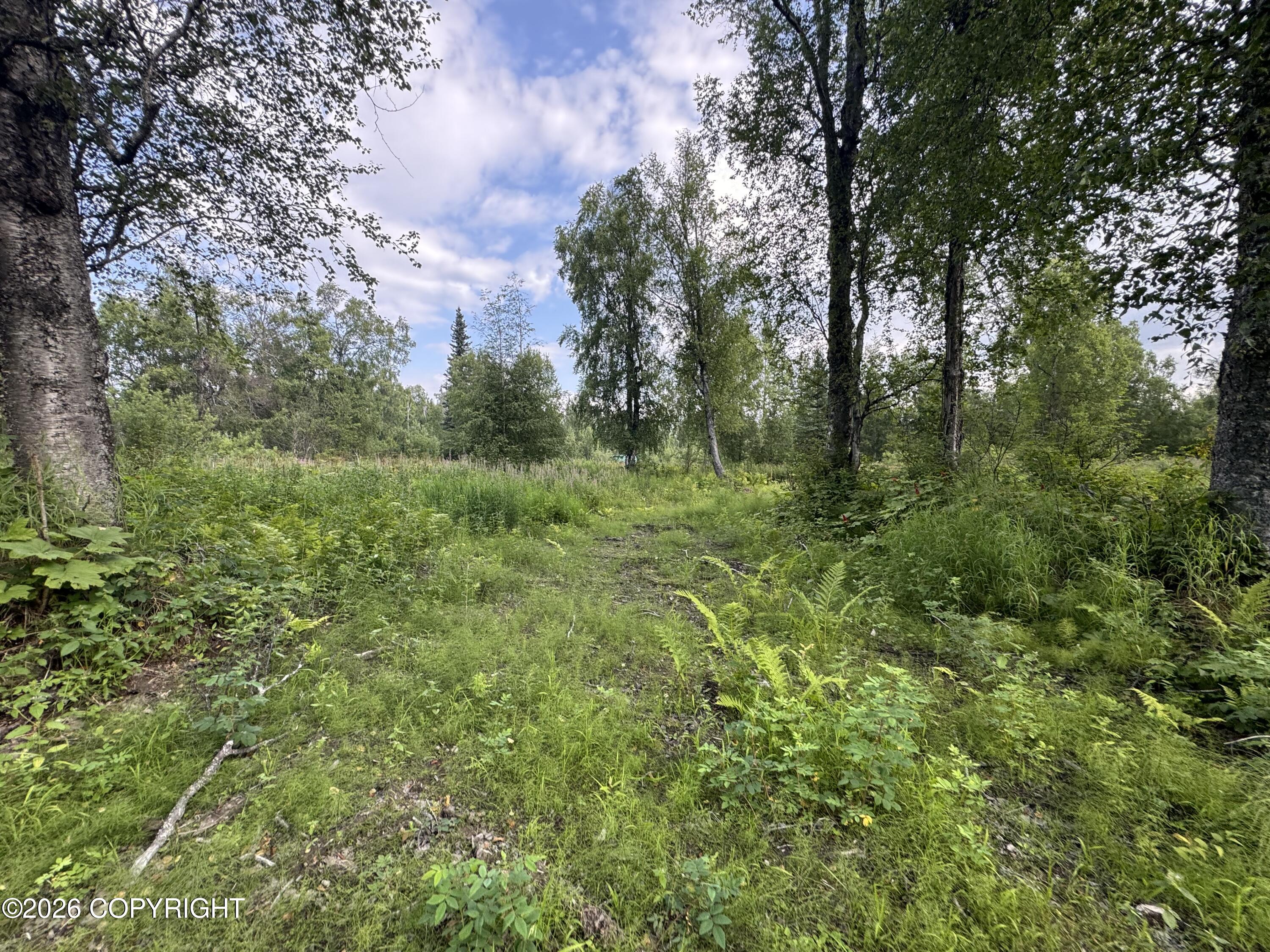 11360 E Wolf Trail Property Photo 9