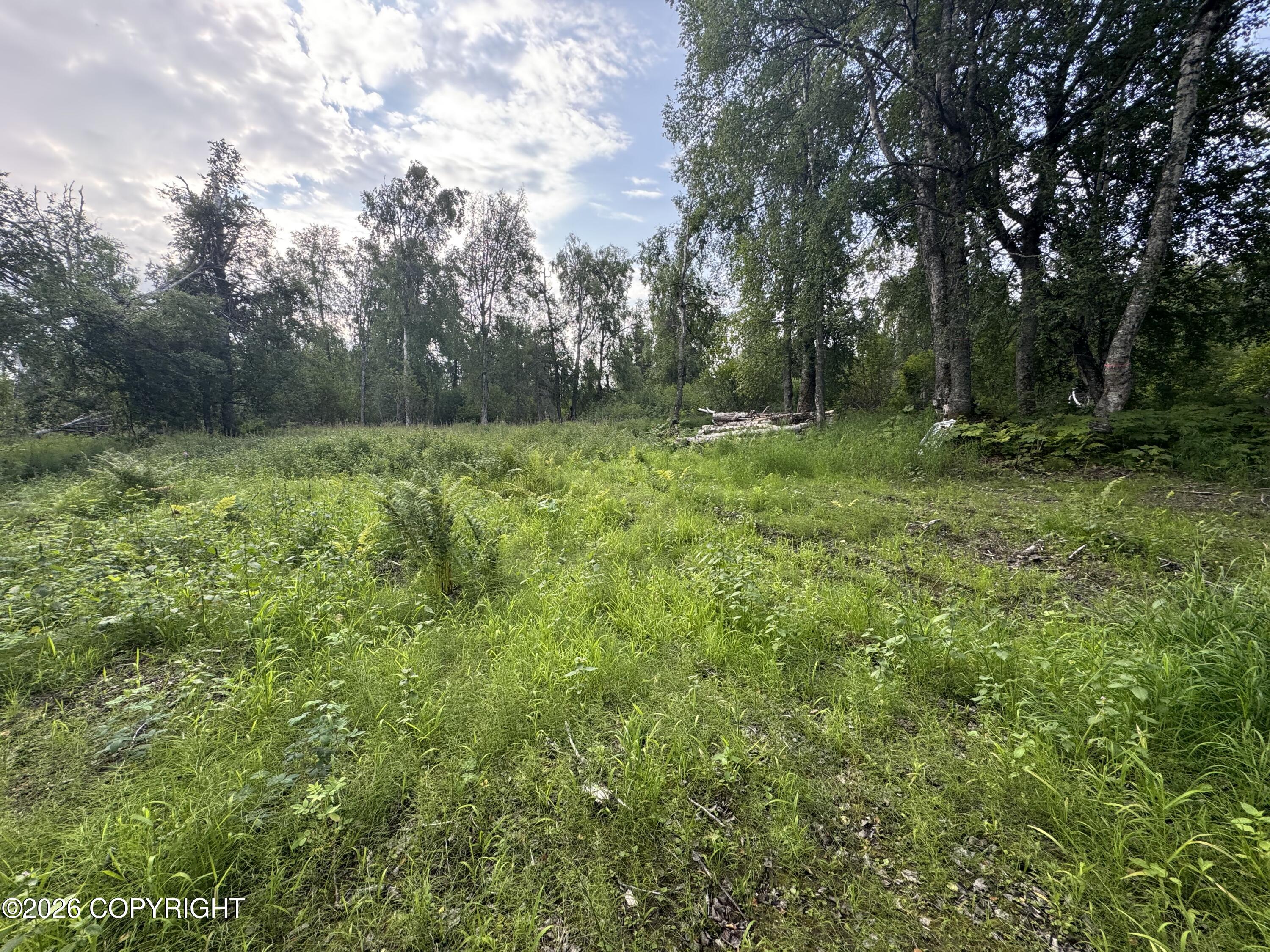 11360 E Wolf Trail Property Photo 10