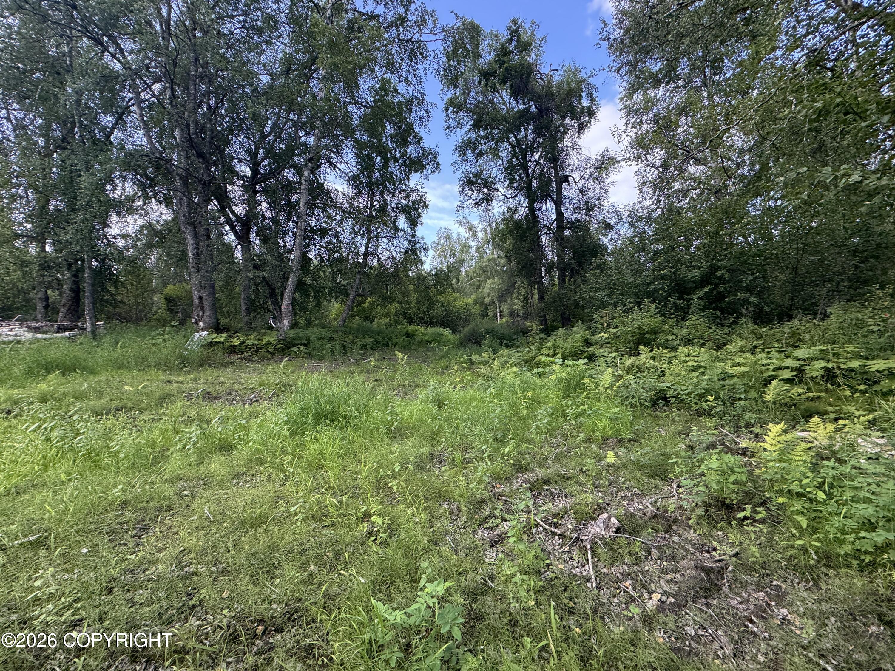 11360 E Wolf Trail Property Photo 11