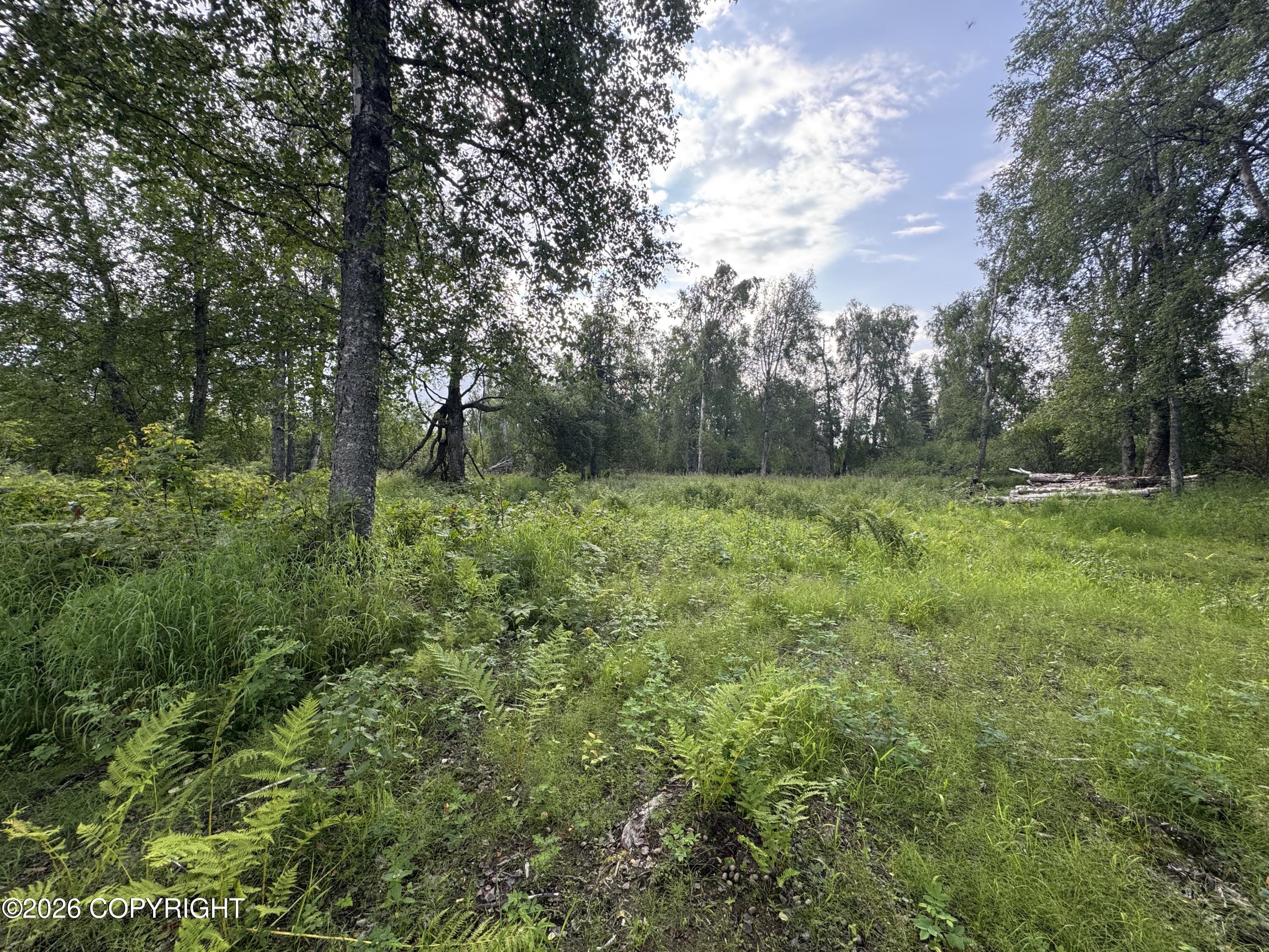 11360 E Wolf Trail Property Photo 12