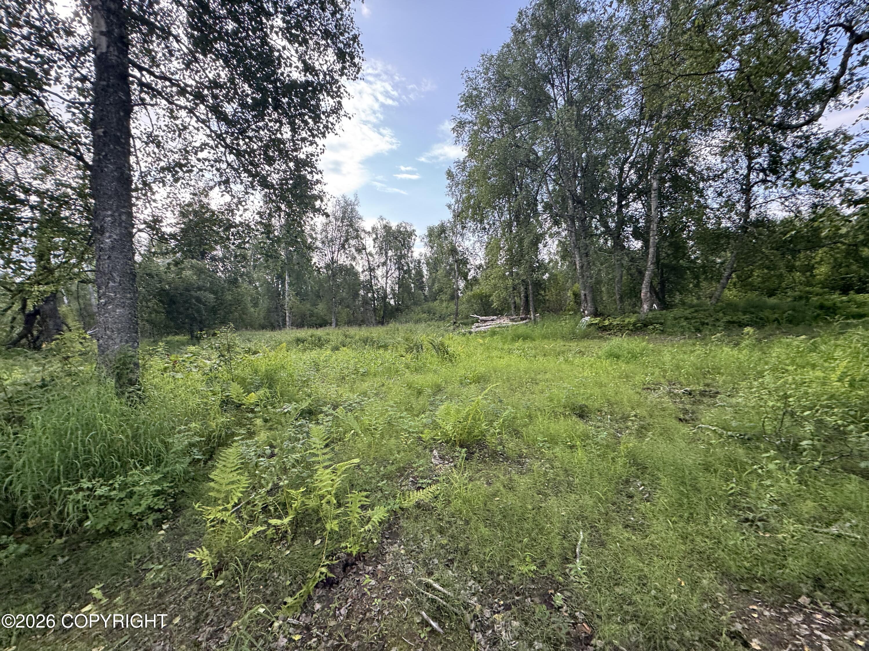 11360 E Wolf Trail Property Photo 13