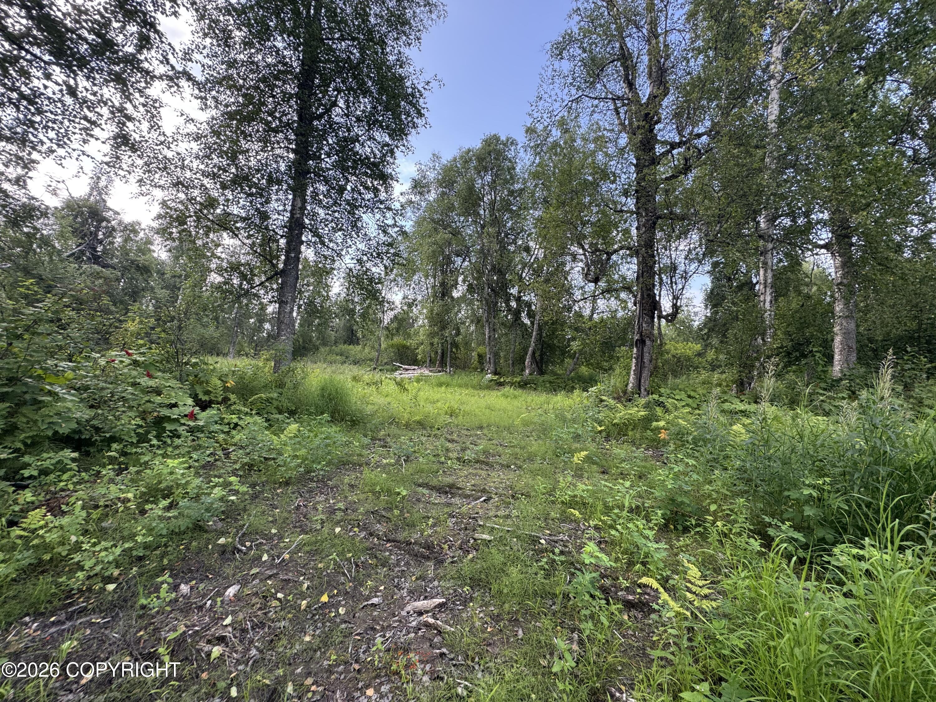 11360 E Wolf Trail Property Photo 14