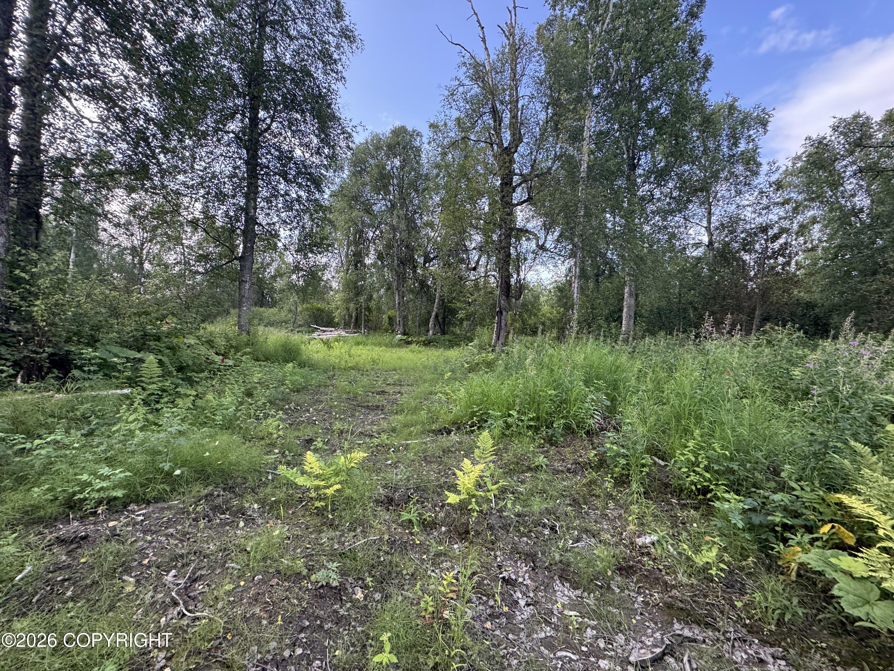 11360 E Wolf Trail Property Photo 15