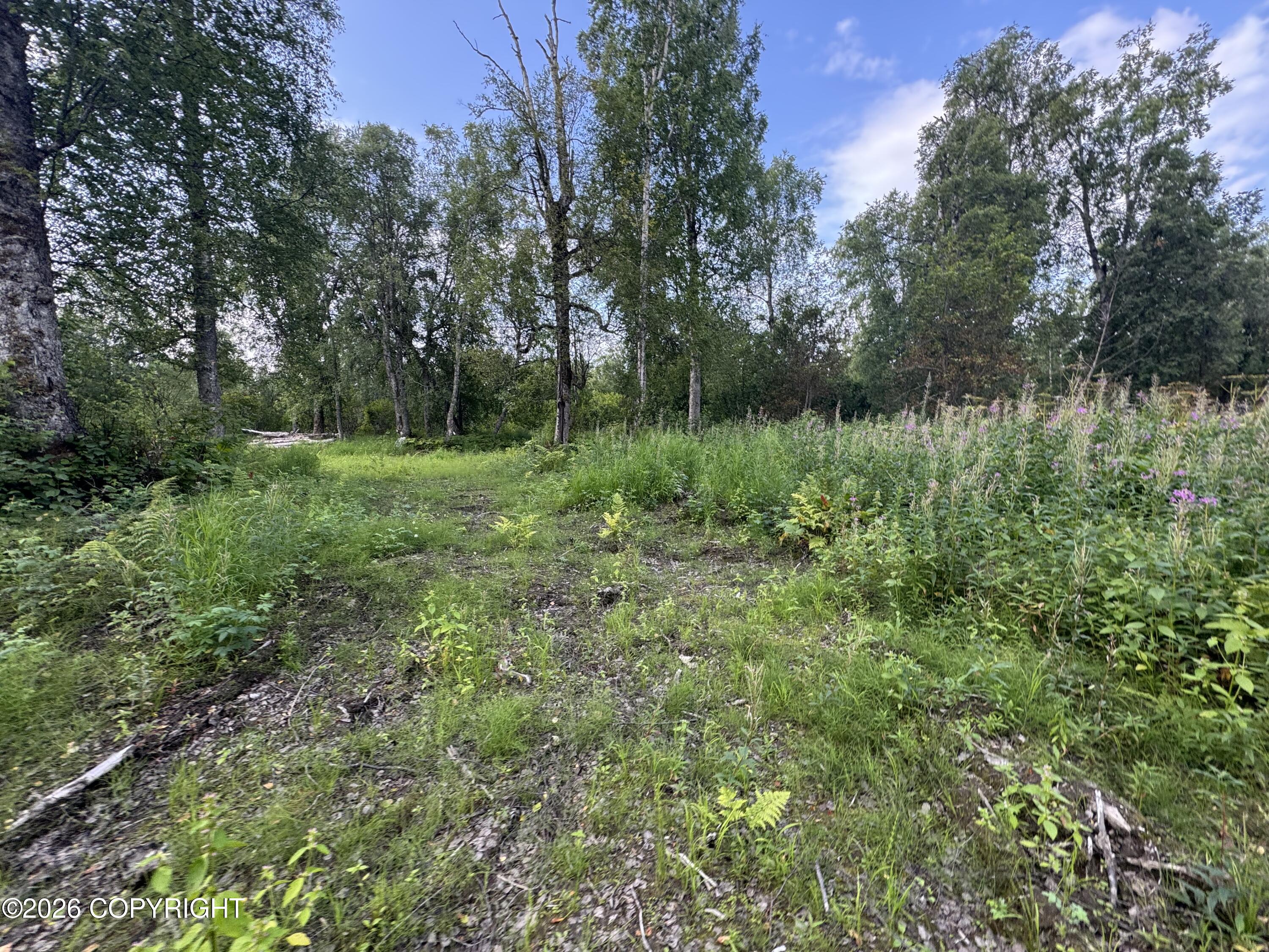 11360 E Wolf Trail Property Photo 16