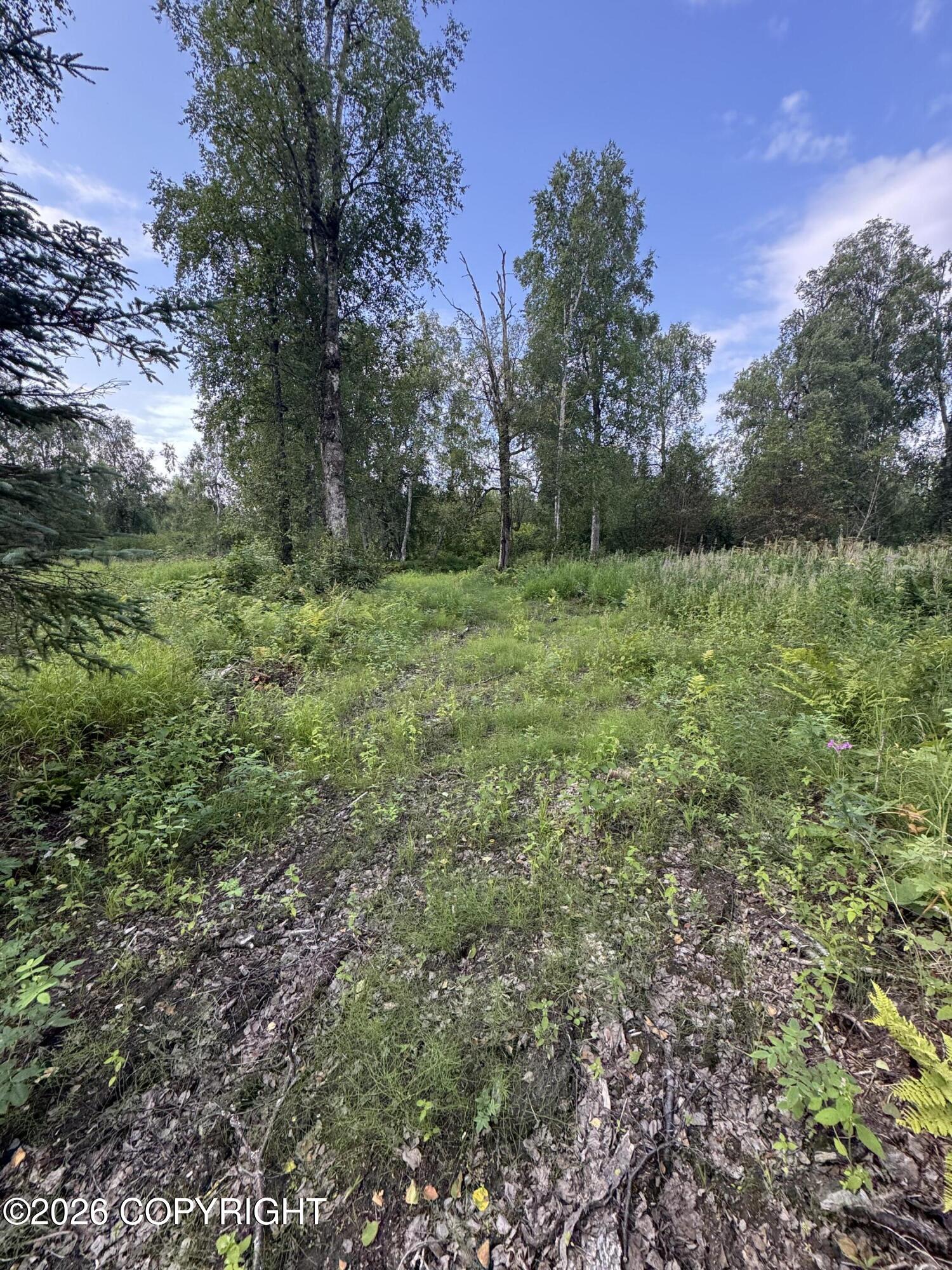 11360 E Wolf Trail Property Photo 17