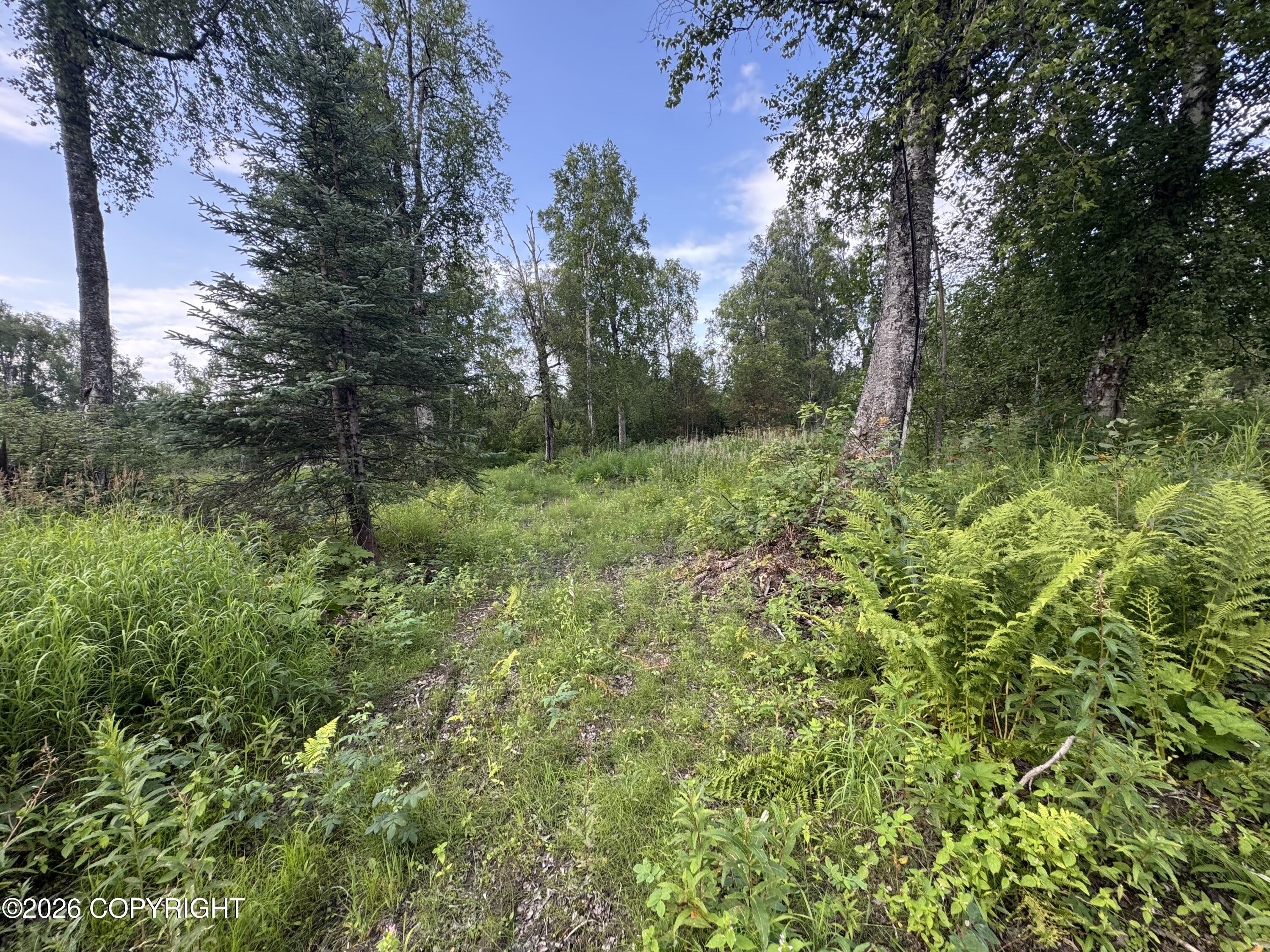 11360 E Wolf Trail Property Photo 18