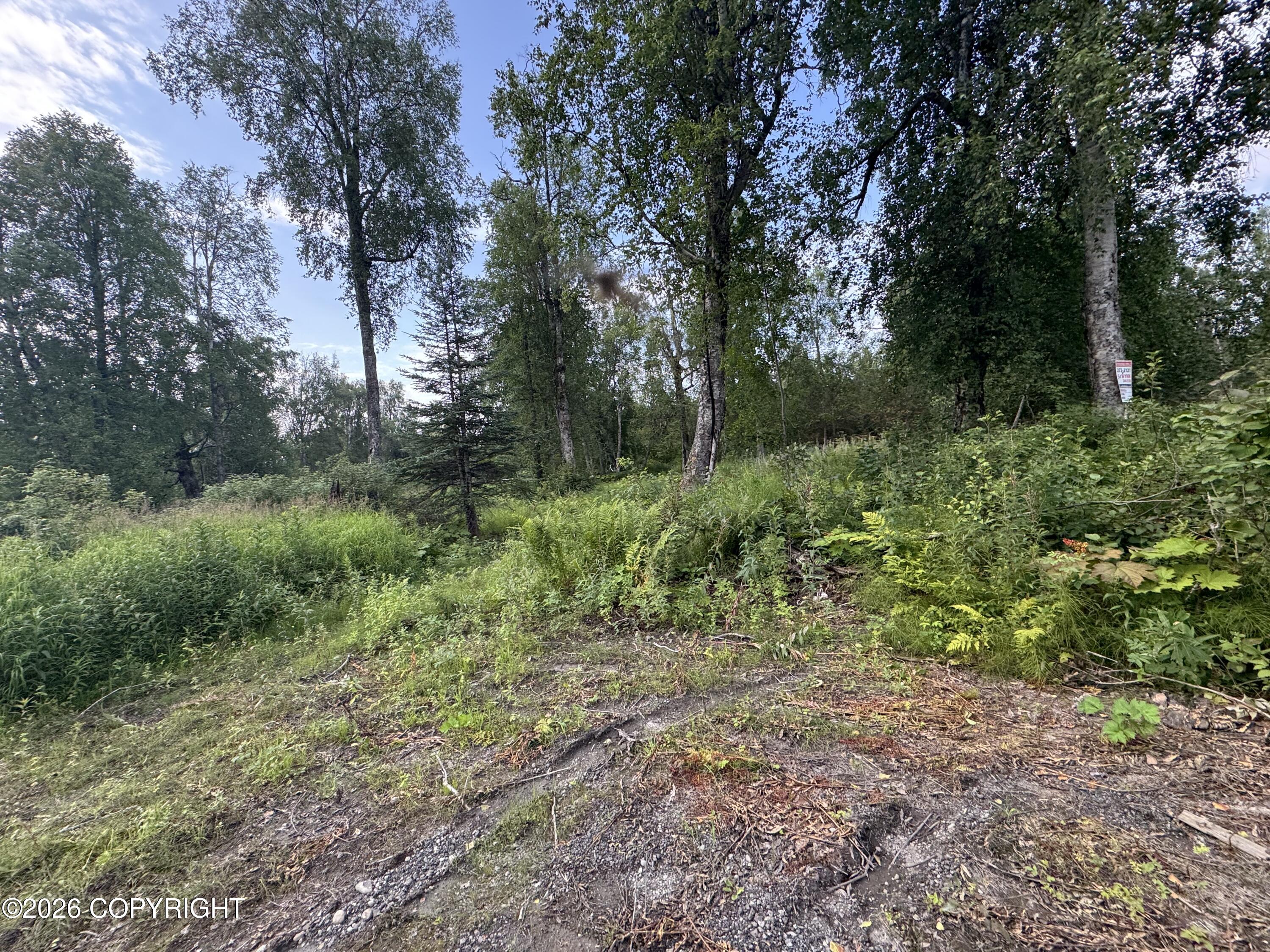 11360 E Wolf Trail Property Photo 19