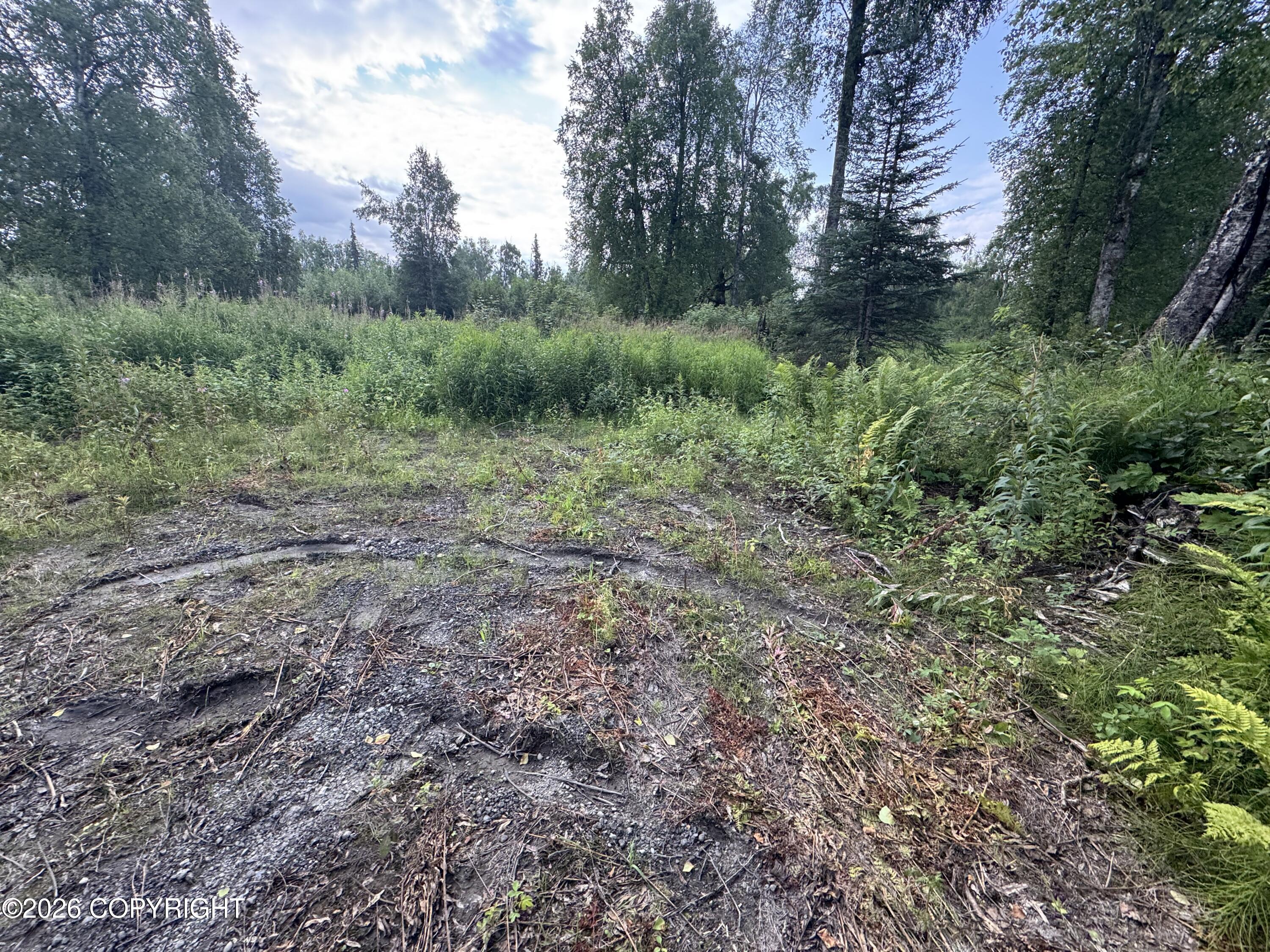 11360 E Wolf Trail Property Photo 20