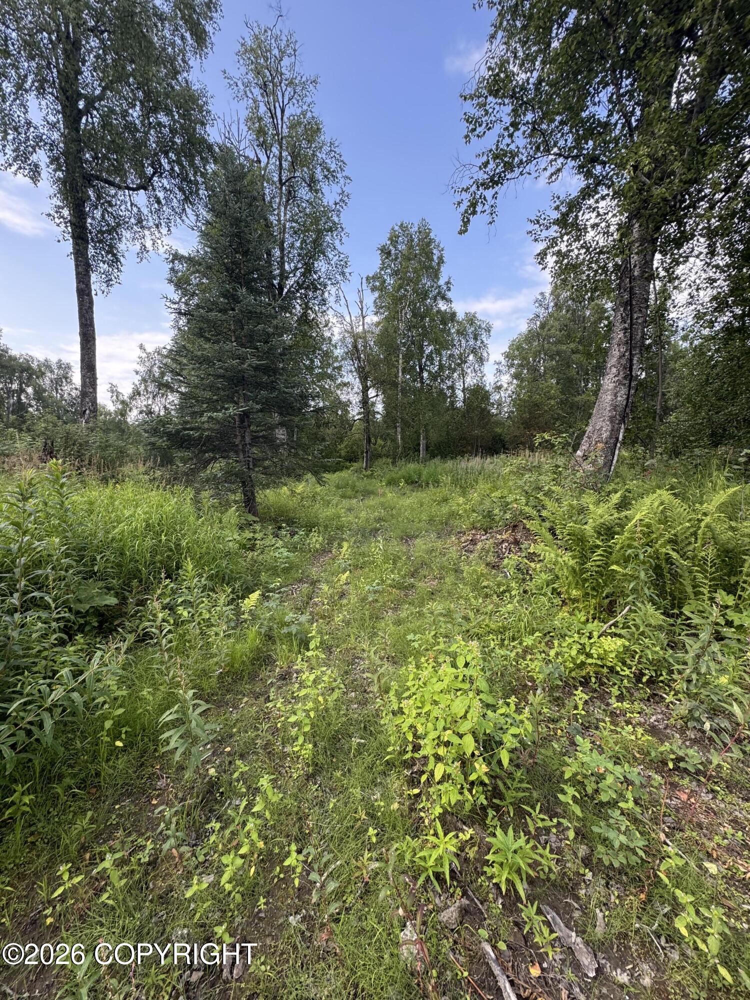 11360 E Wolf Trail Property Photo 21