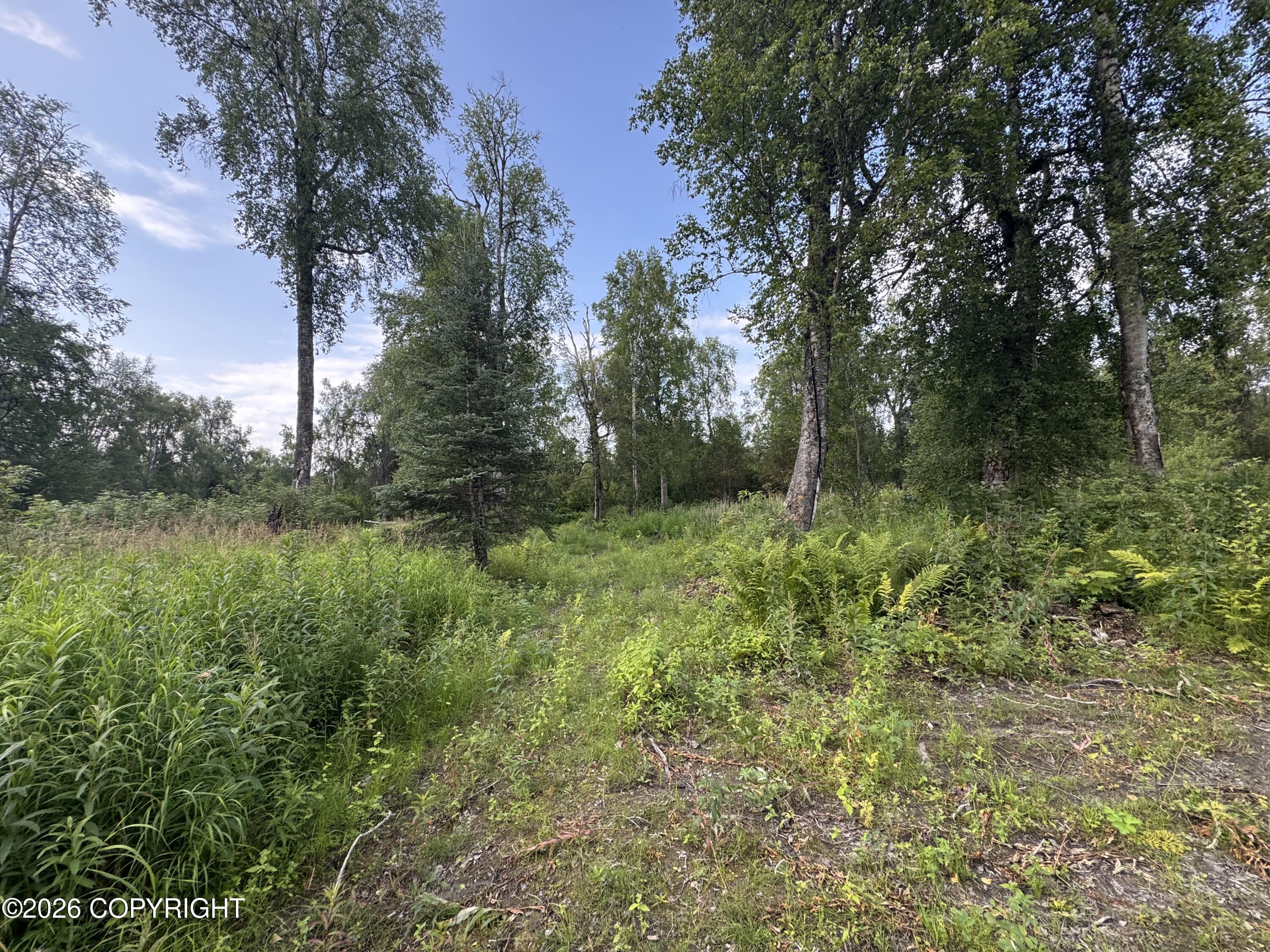 11360 E Wolf Trail Property Photo 22