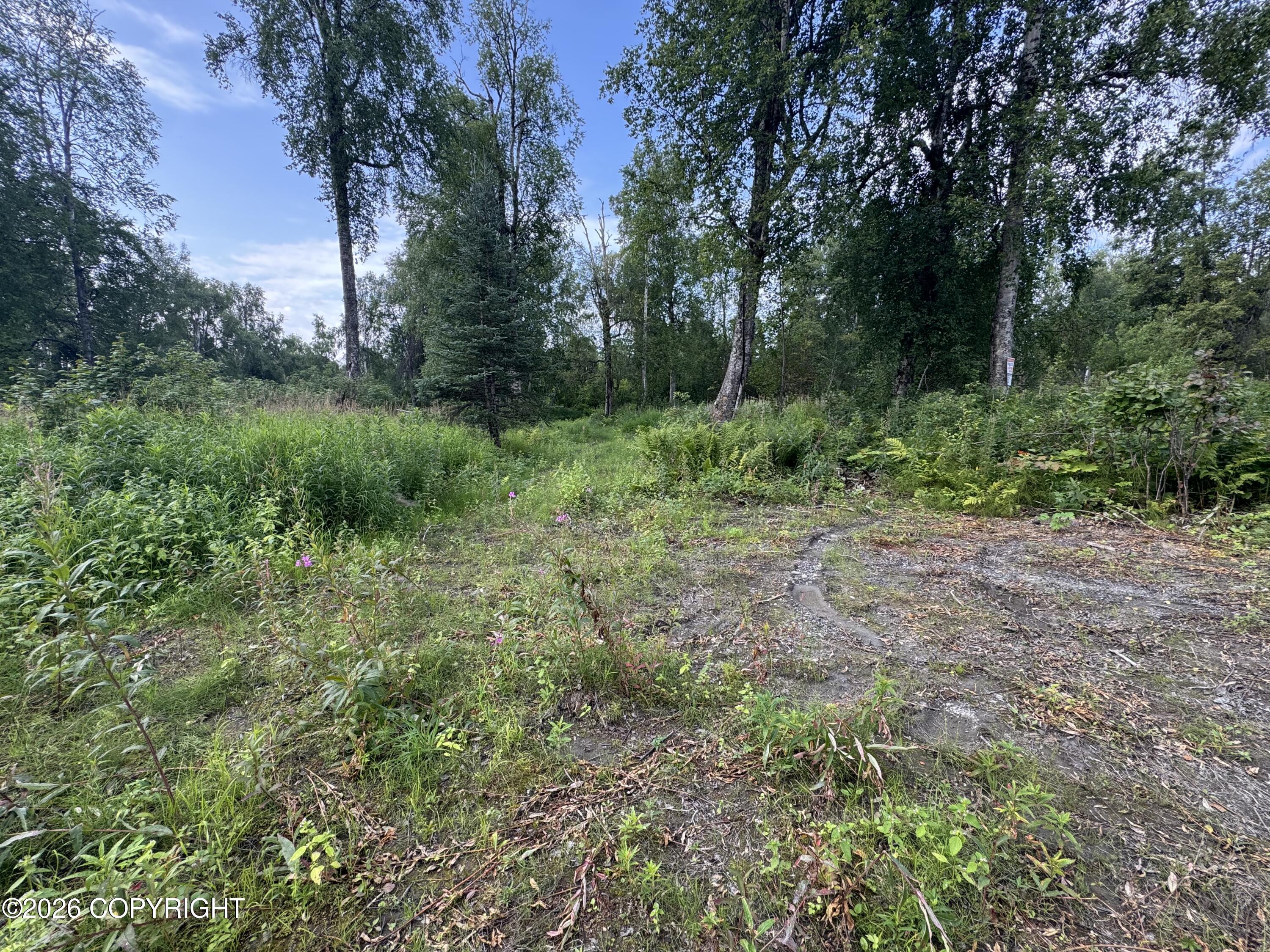 11360 E Wolf Trail Property Photo 23