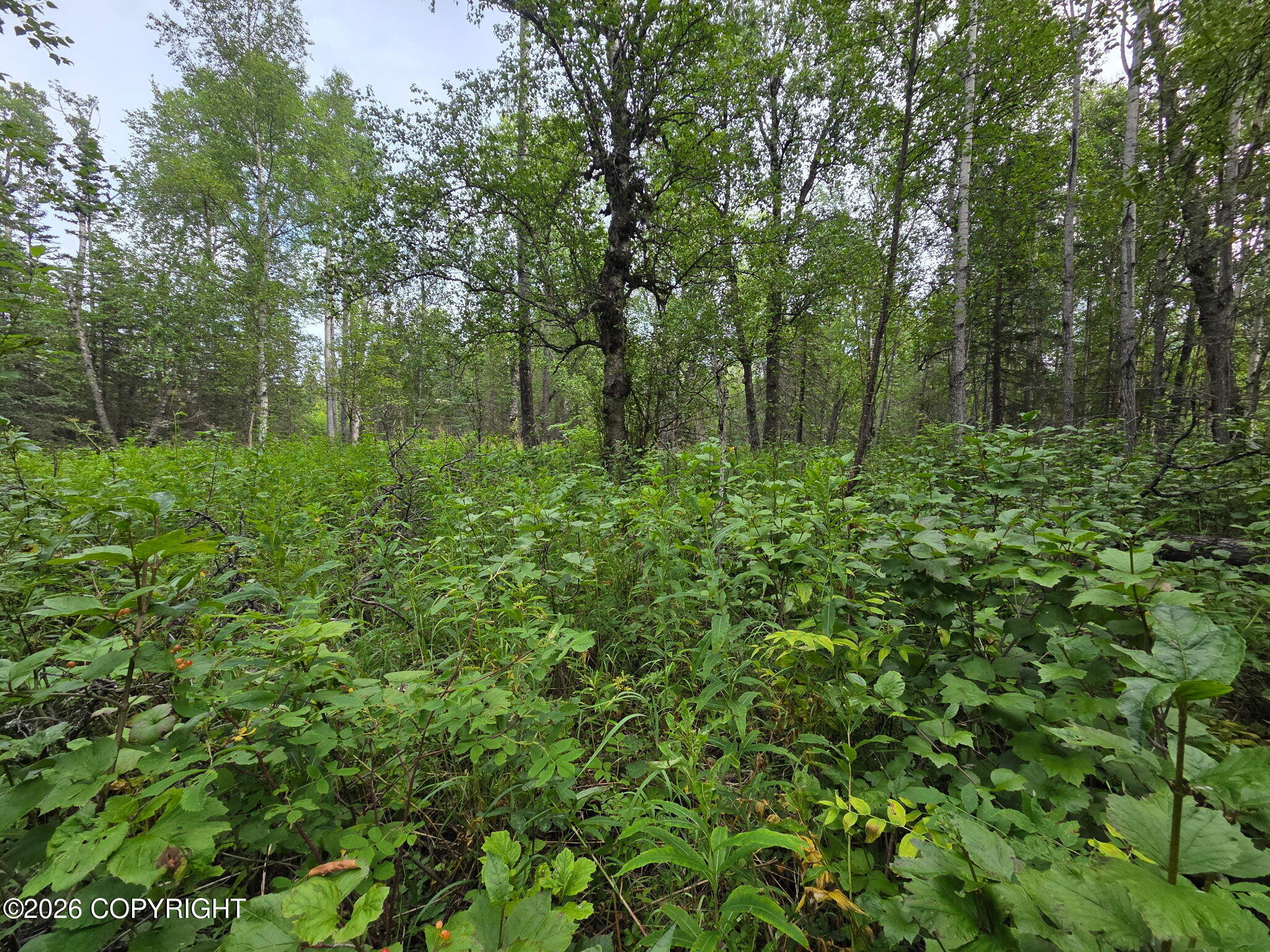 10238 N Wolverine Road Property Photo 4