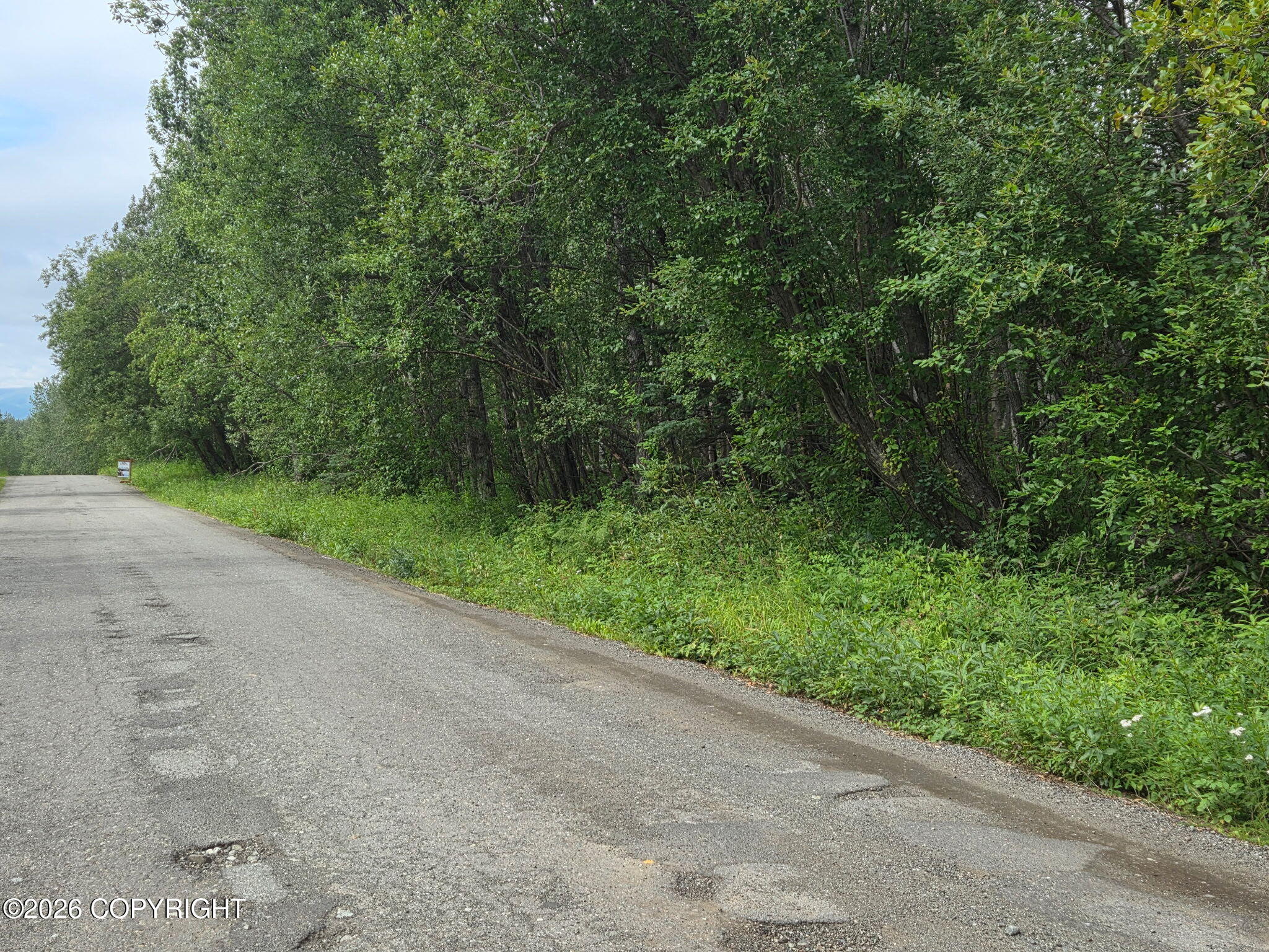 10238 N Wolverine Road Property Photo 5