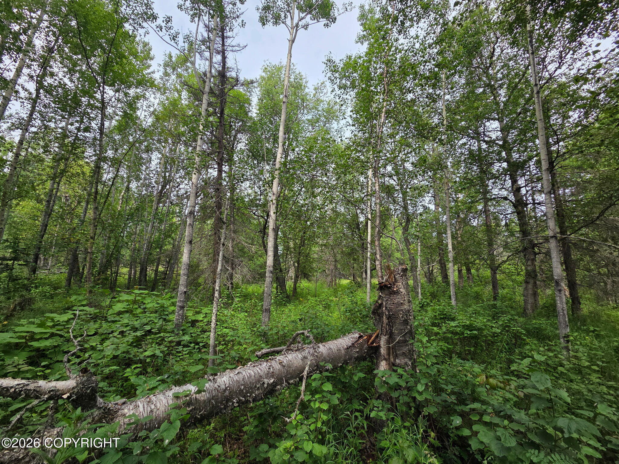 10238 N Wolverine Road Property Photo 6