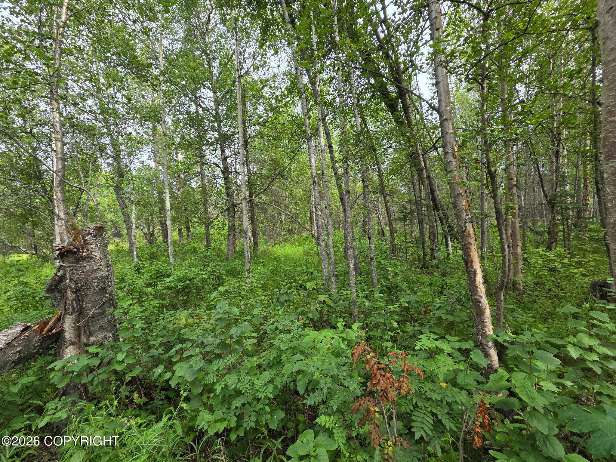 10238 N Wolverine Road Property Photo 8