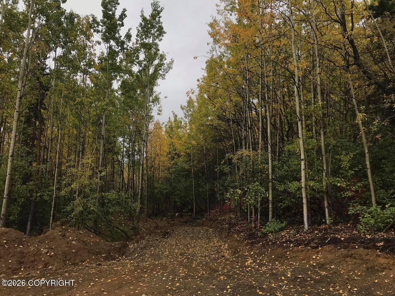 000 Prudhoe Bay Ave Property Photo 18
