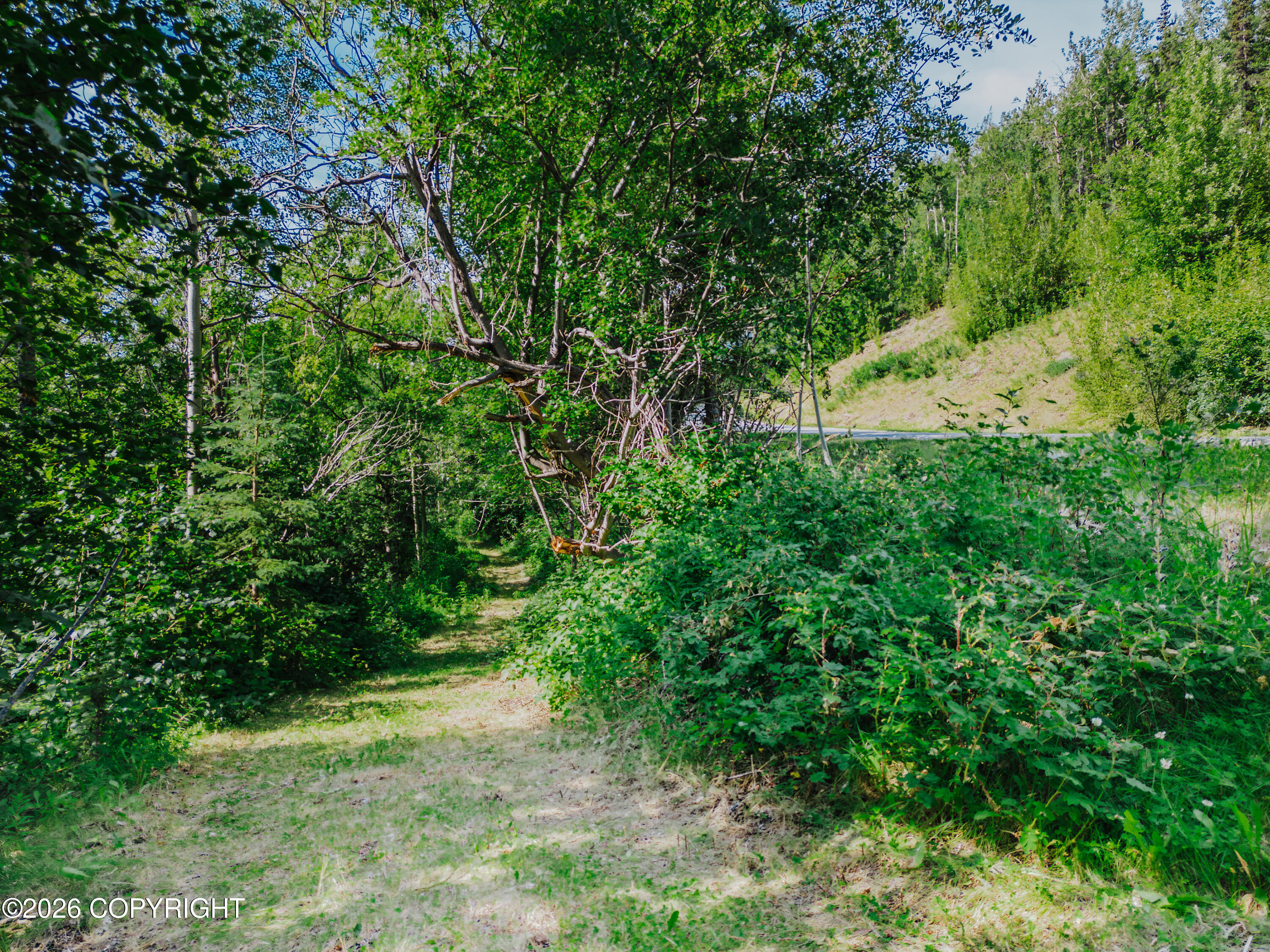 000 Prudhoe Bay Ave Property Photo 26