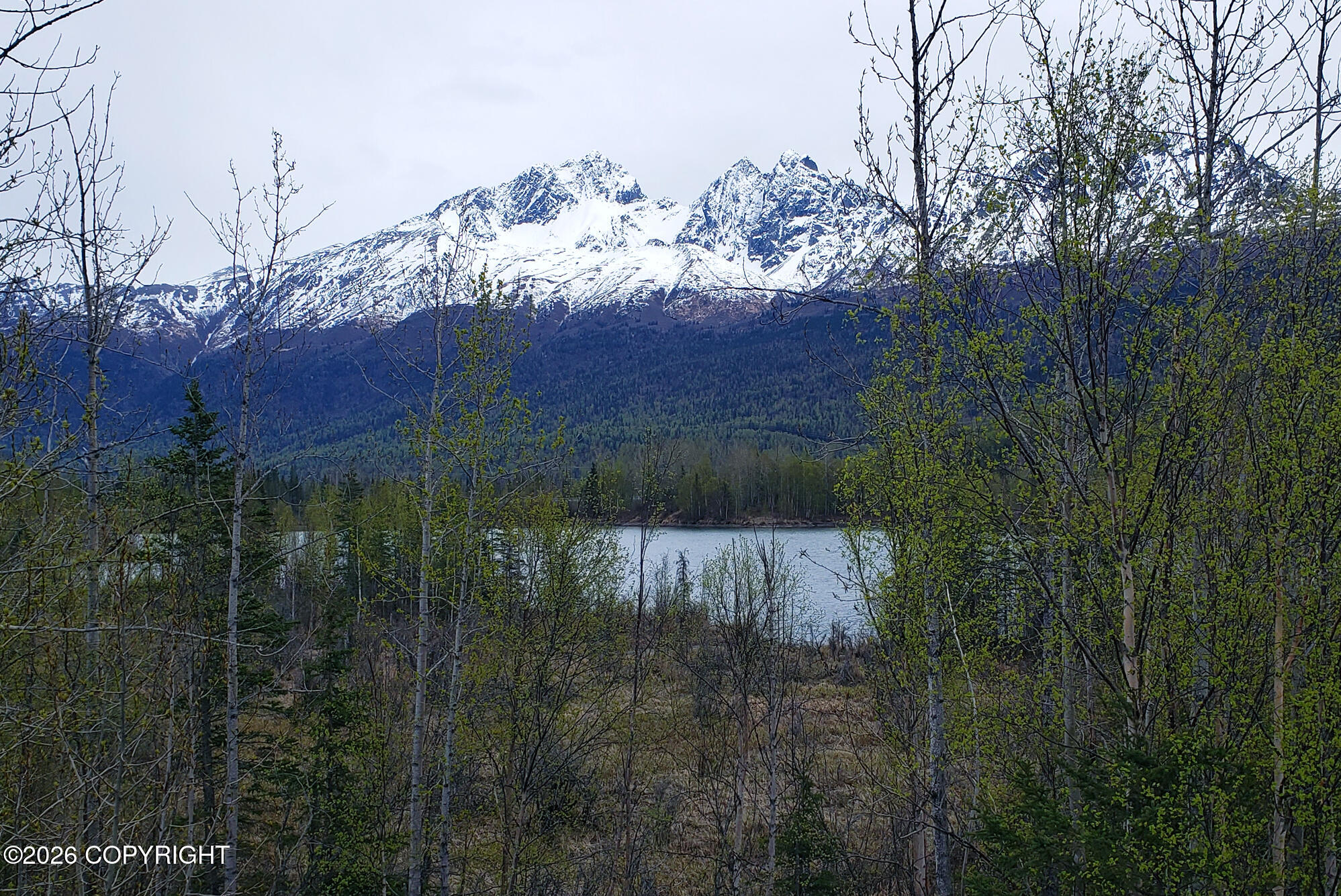 10864 W Parks Highway Property Photo 3