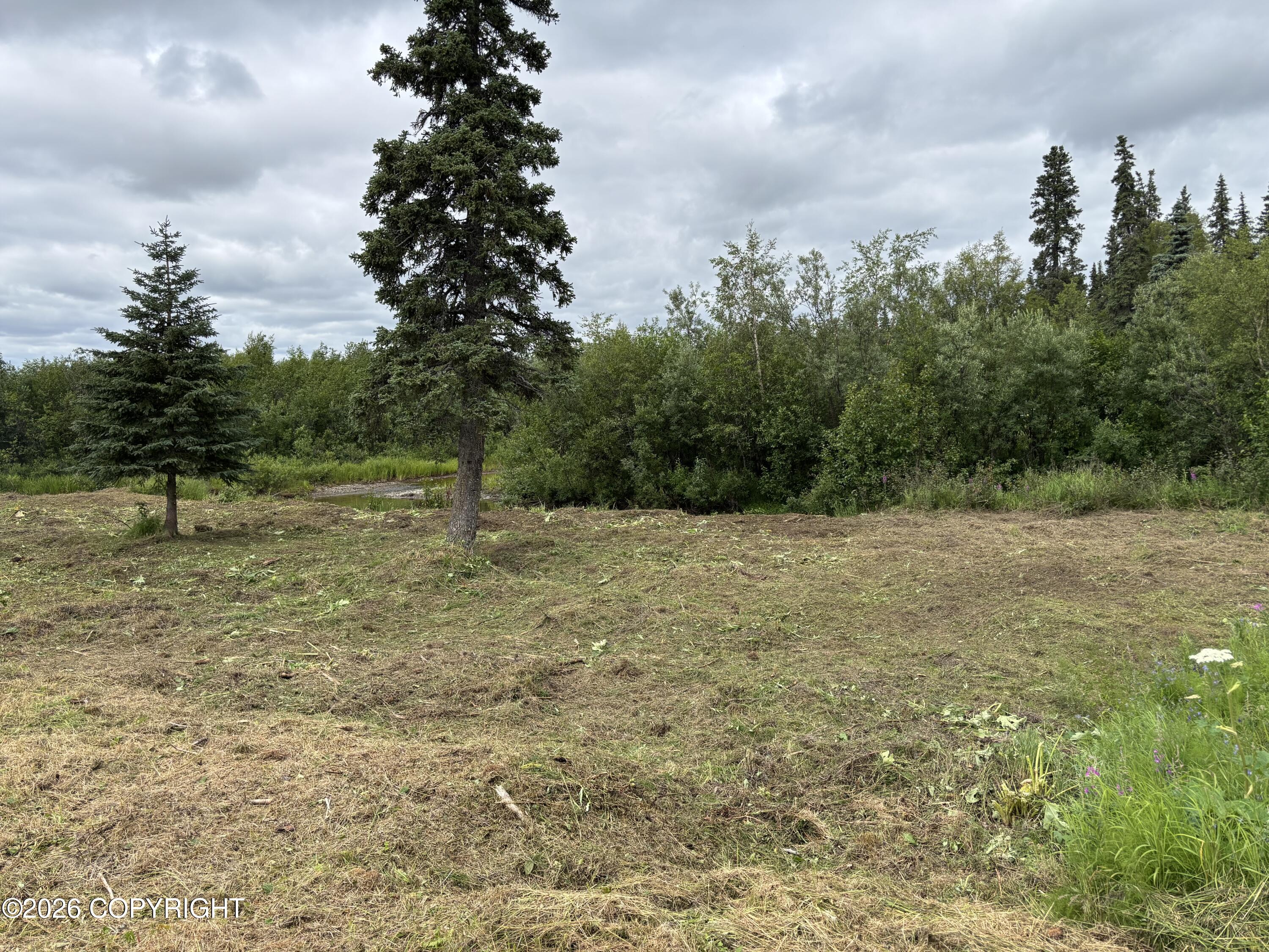 0 No Road Beaver Creek Property Photo 32