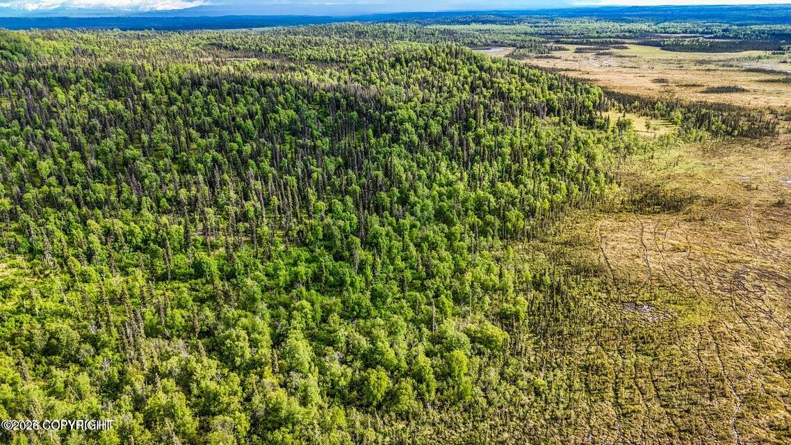 Tr A B1 Kasilof Wilderness Sub Property Photo 7