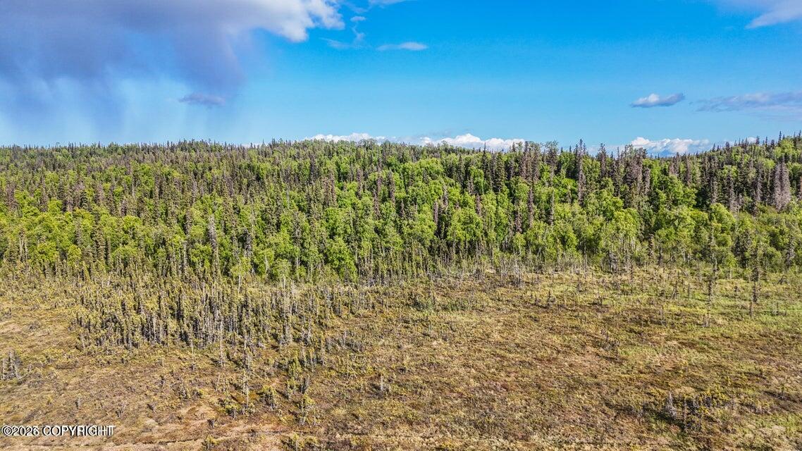 Tr A B1 Kasilof Wilderness Sub Property Photo 8