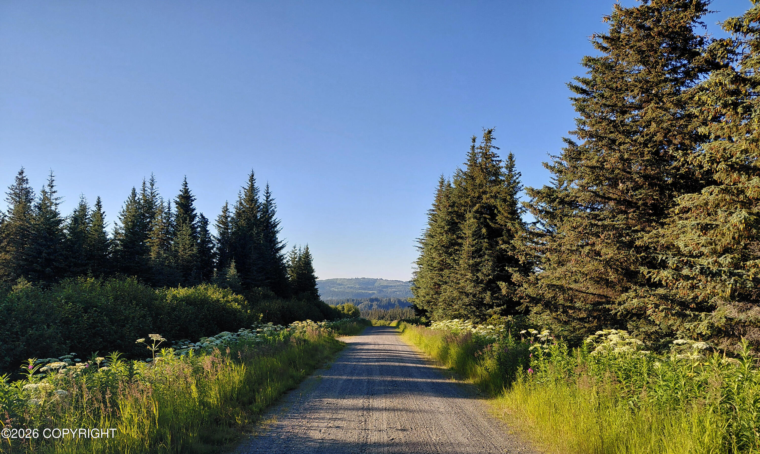 L 22 Kachemak Bay Property Photo 6