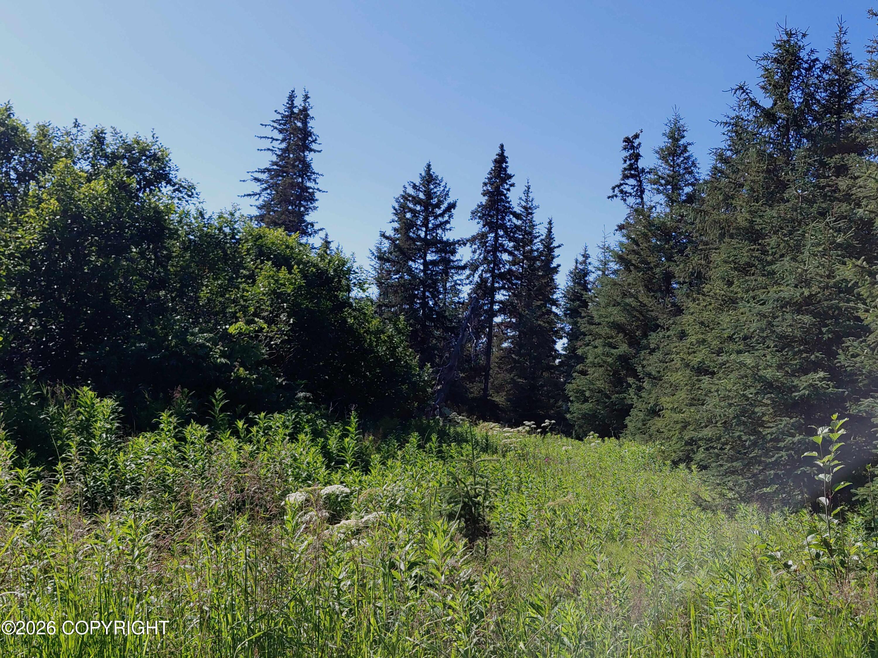 L 22 Kachemak Bay Property Photo 7