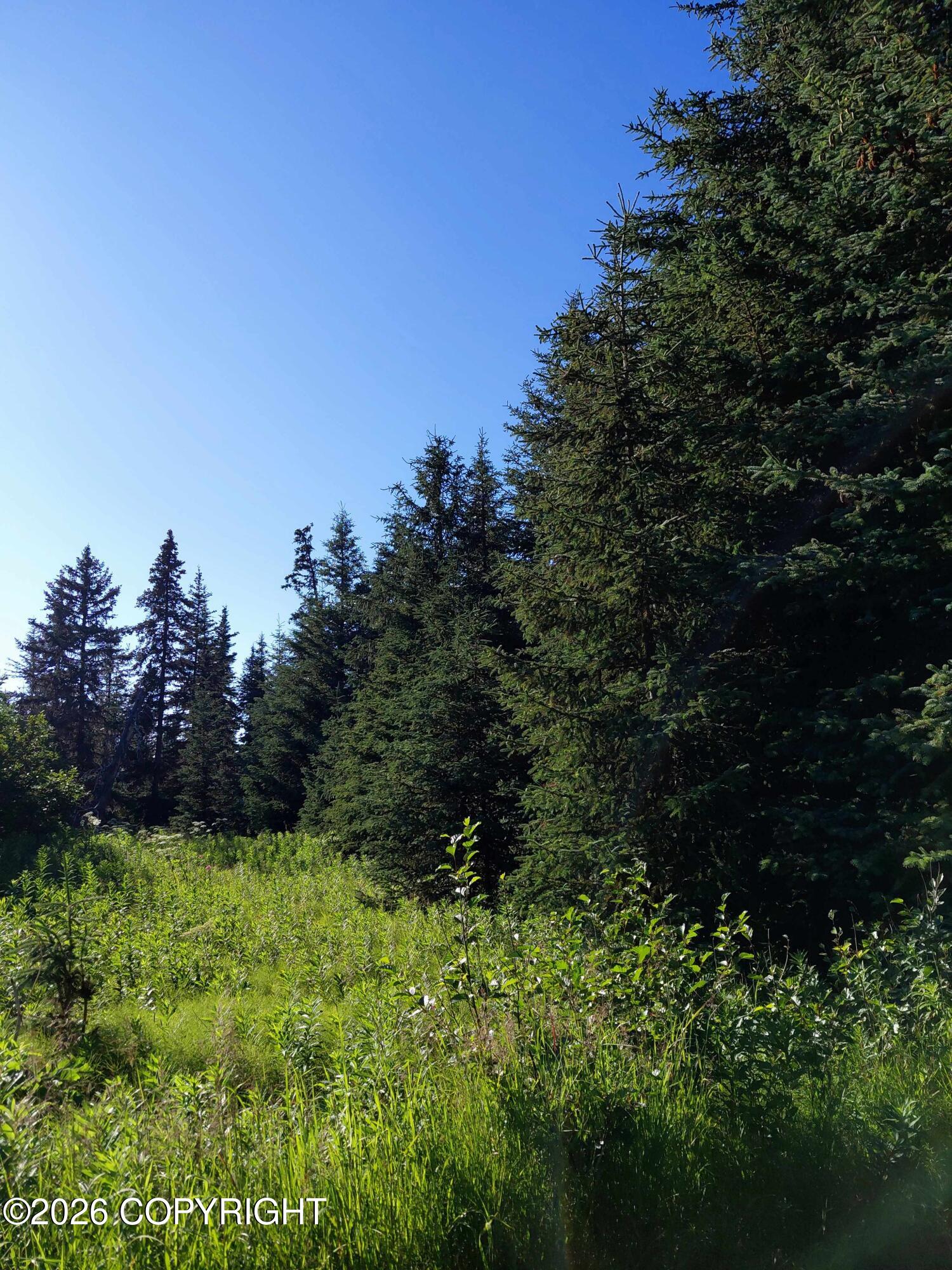 L 22 Kachemak Bay Property Photo 8