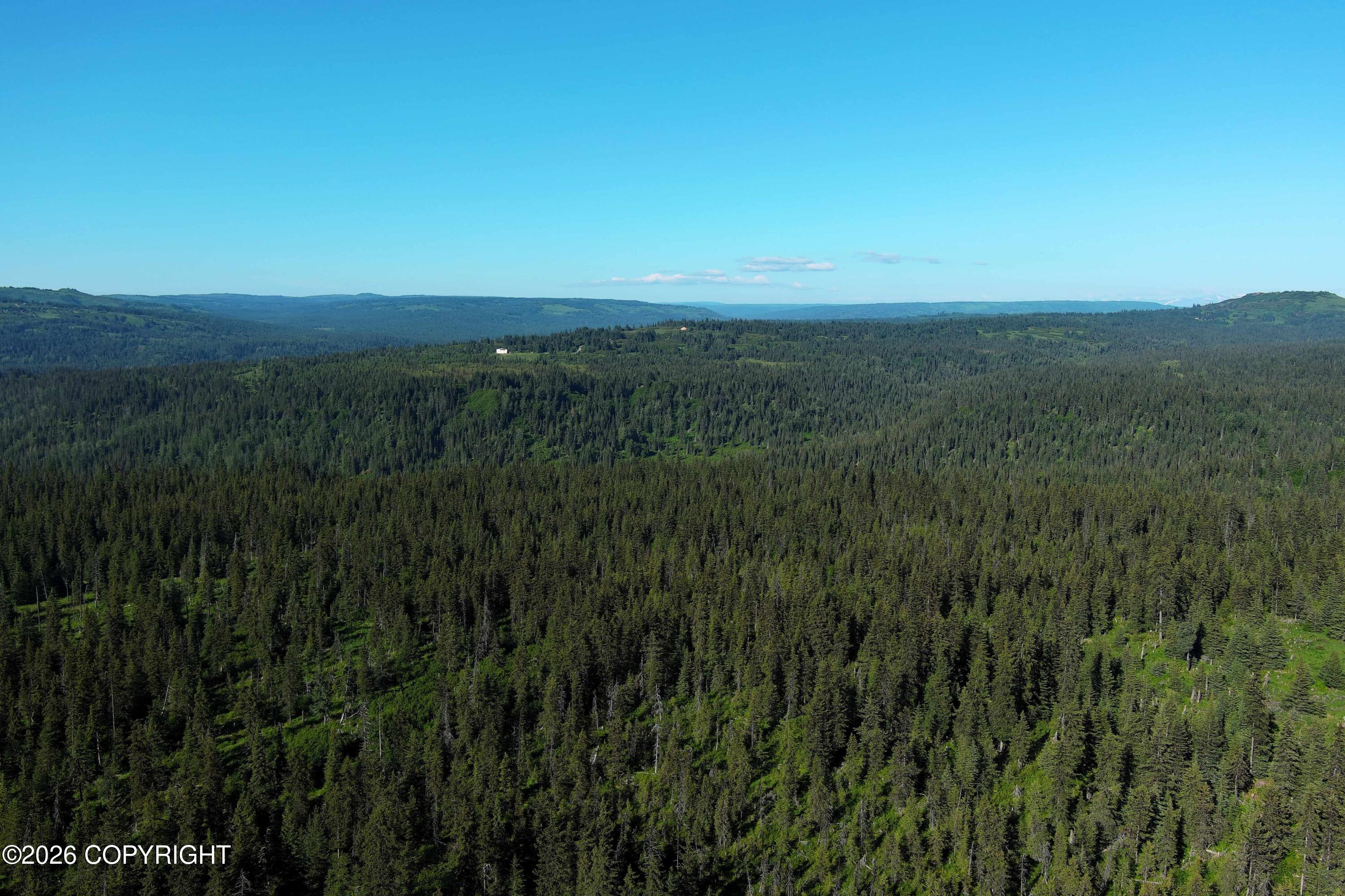 L 22 Kachemak Bay Property Photo 10