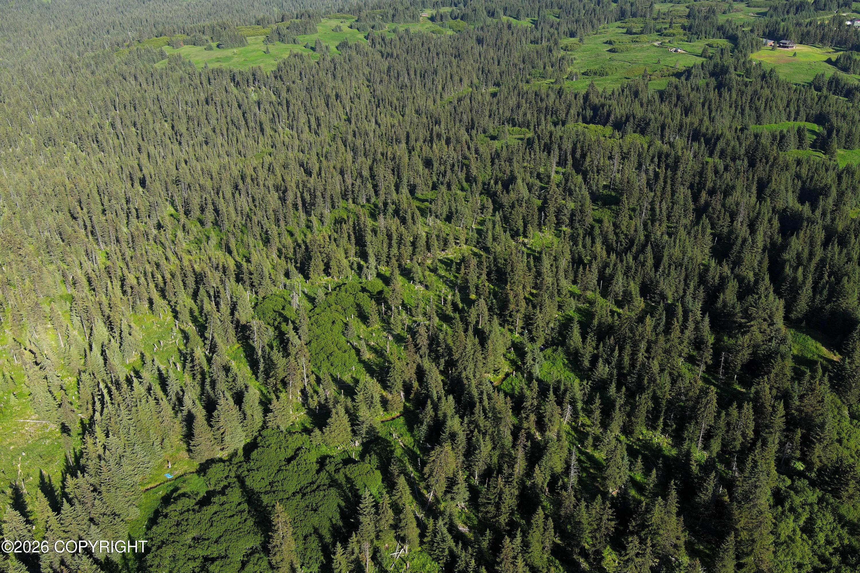 L 22 Kachemak Bay Property Photo 11