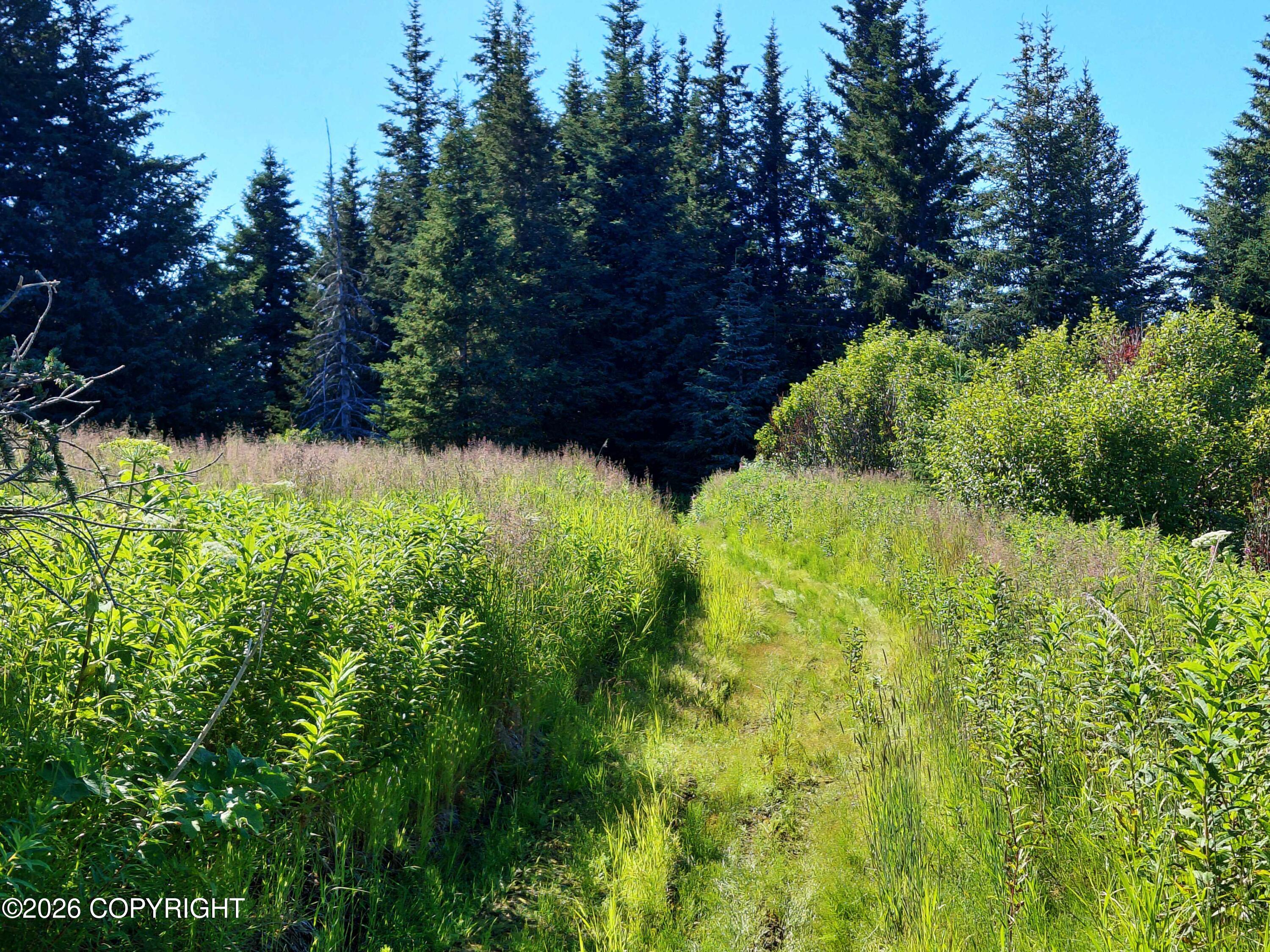 L 22 Kachemak Bay Property Photo 12