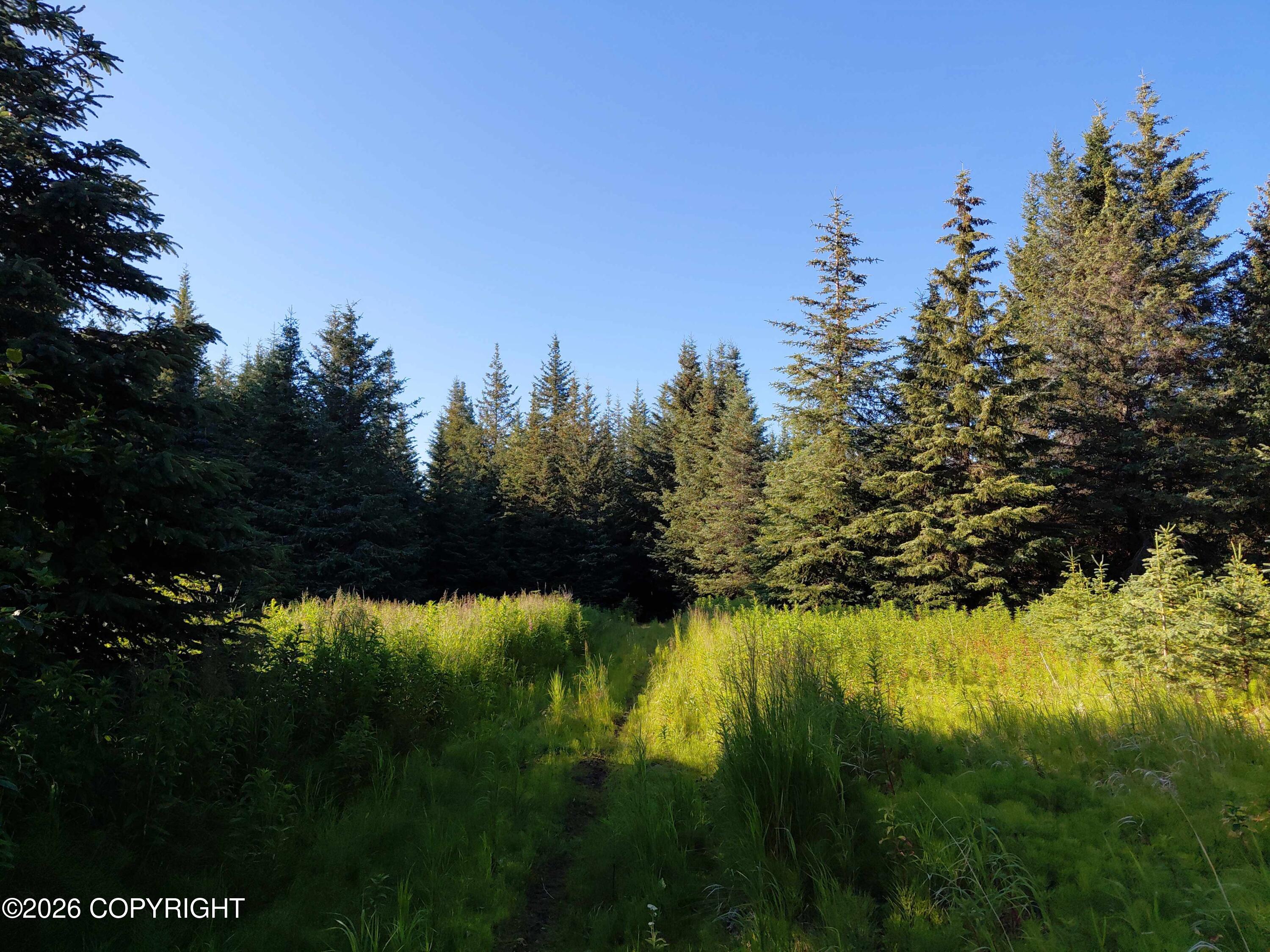 L 22 Kachemak Bay Property Photo 13