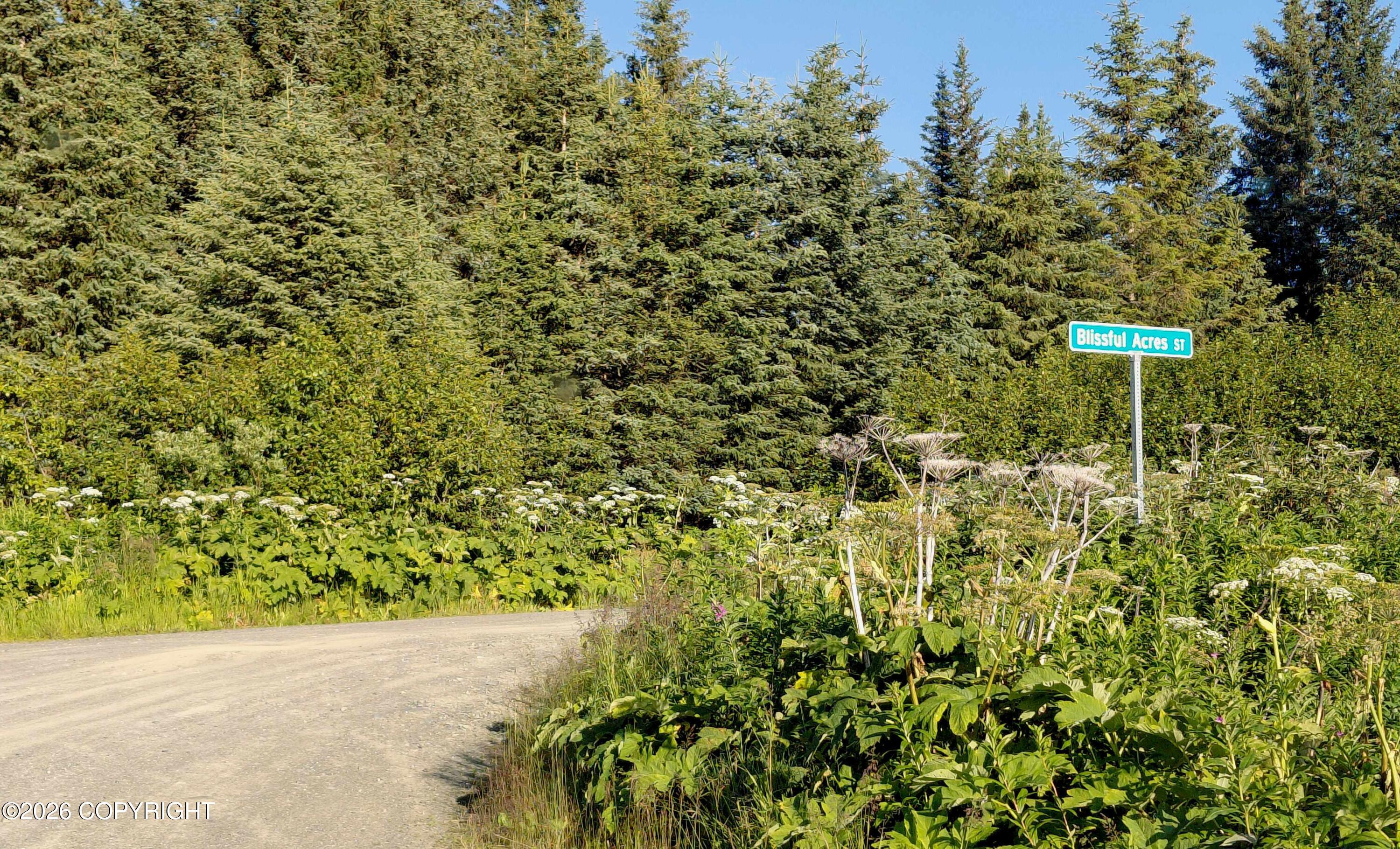 L 22 Kachemak Bay Property Photo 14