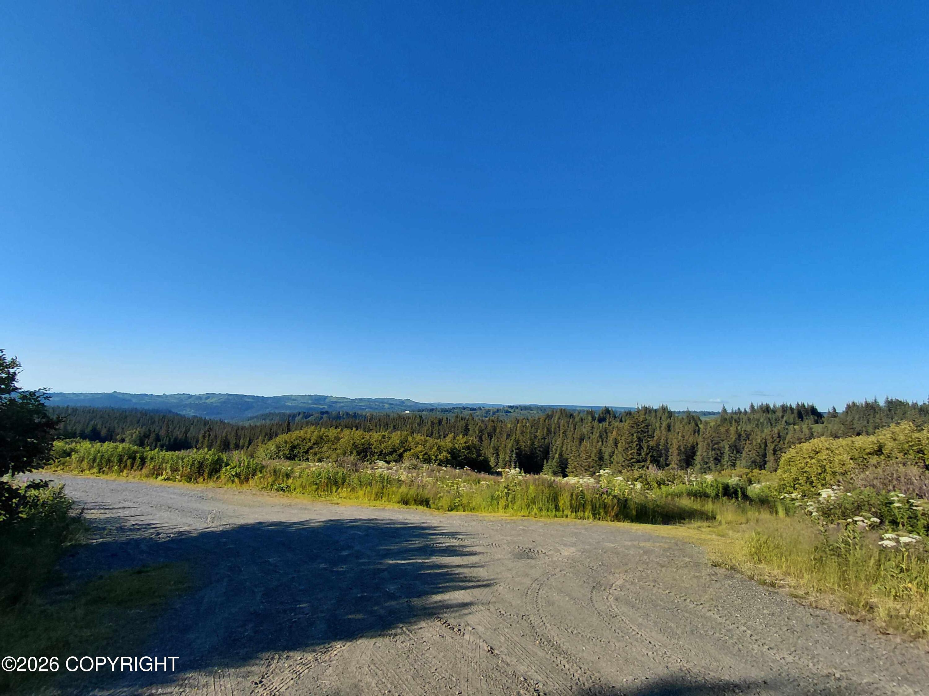 L 22 Kachemak Bay Property Photo 15