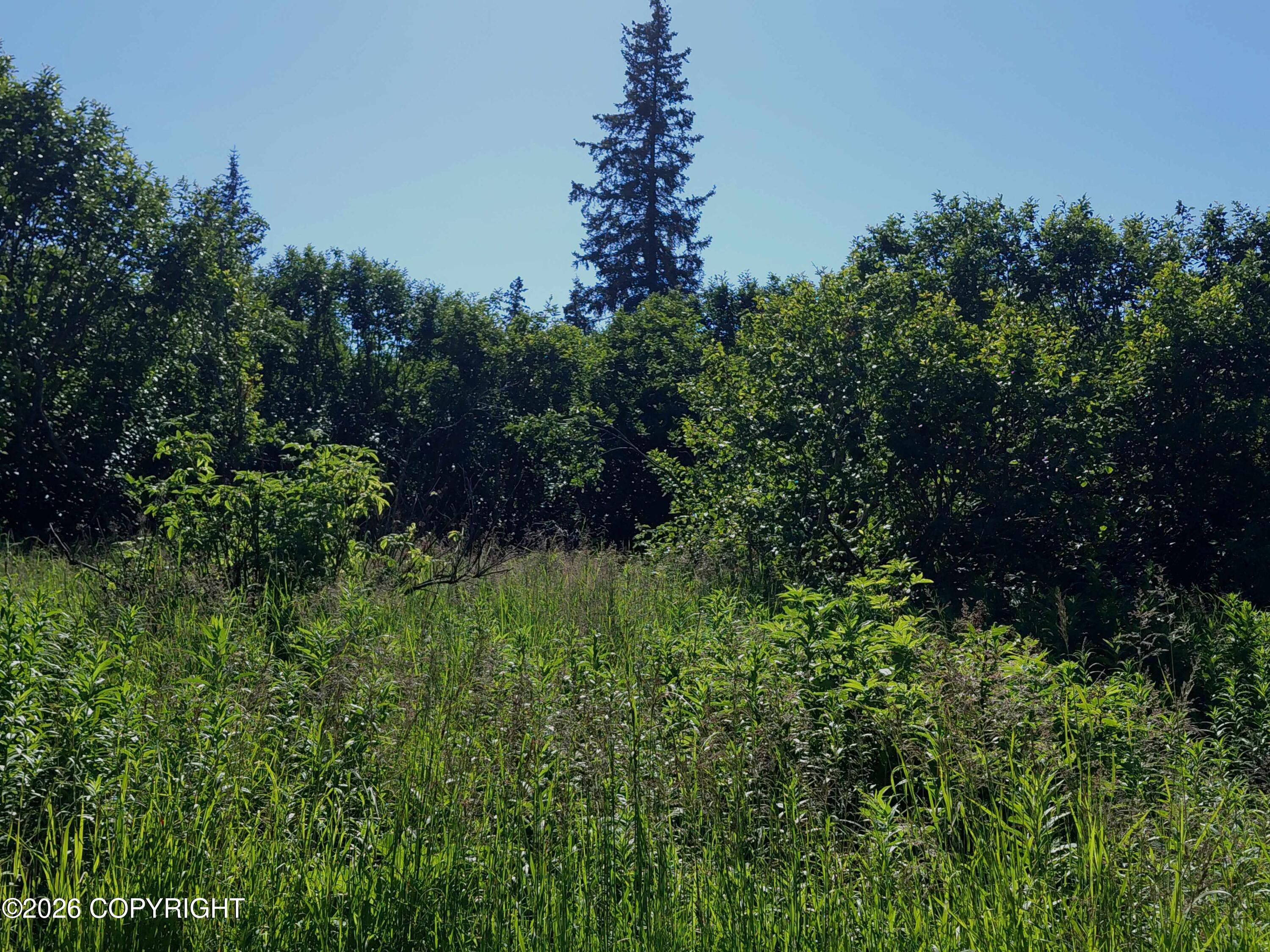 L 22 Kachemak Bay Property Photo 16