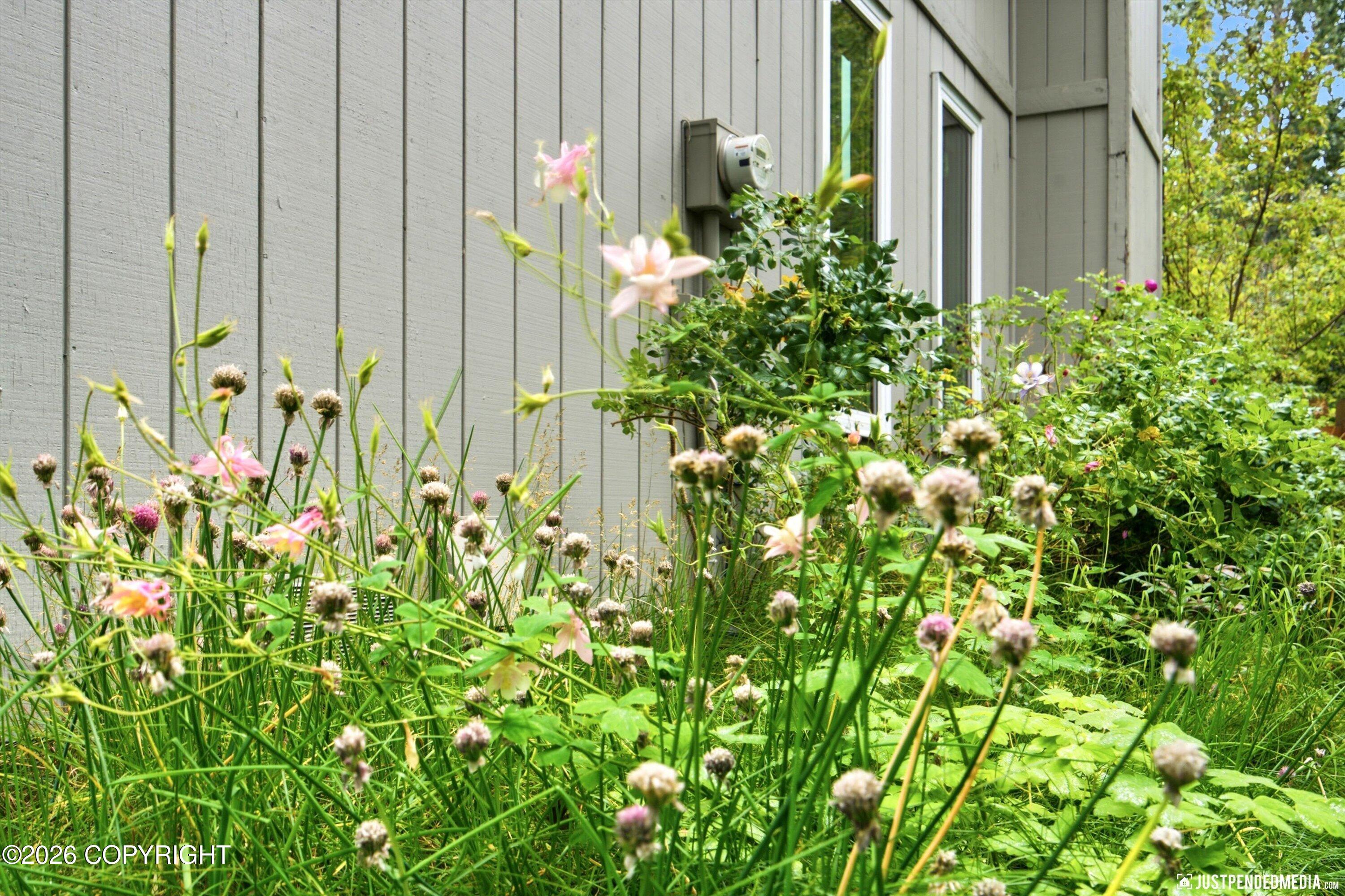 10014 Main Tree Drive Property Photo 60