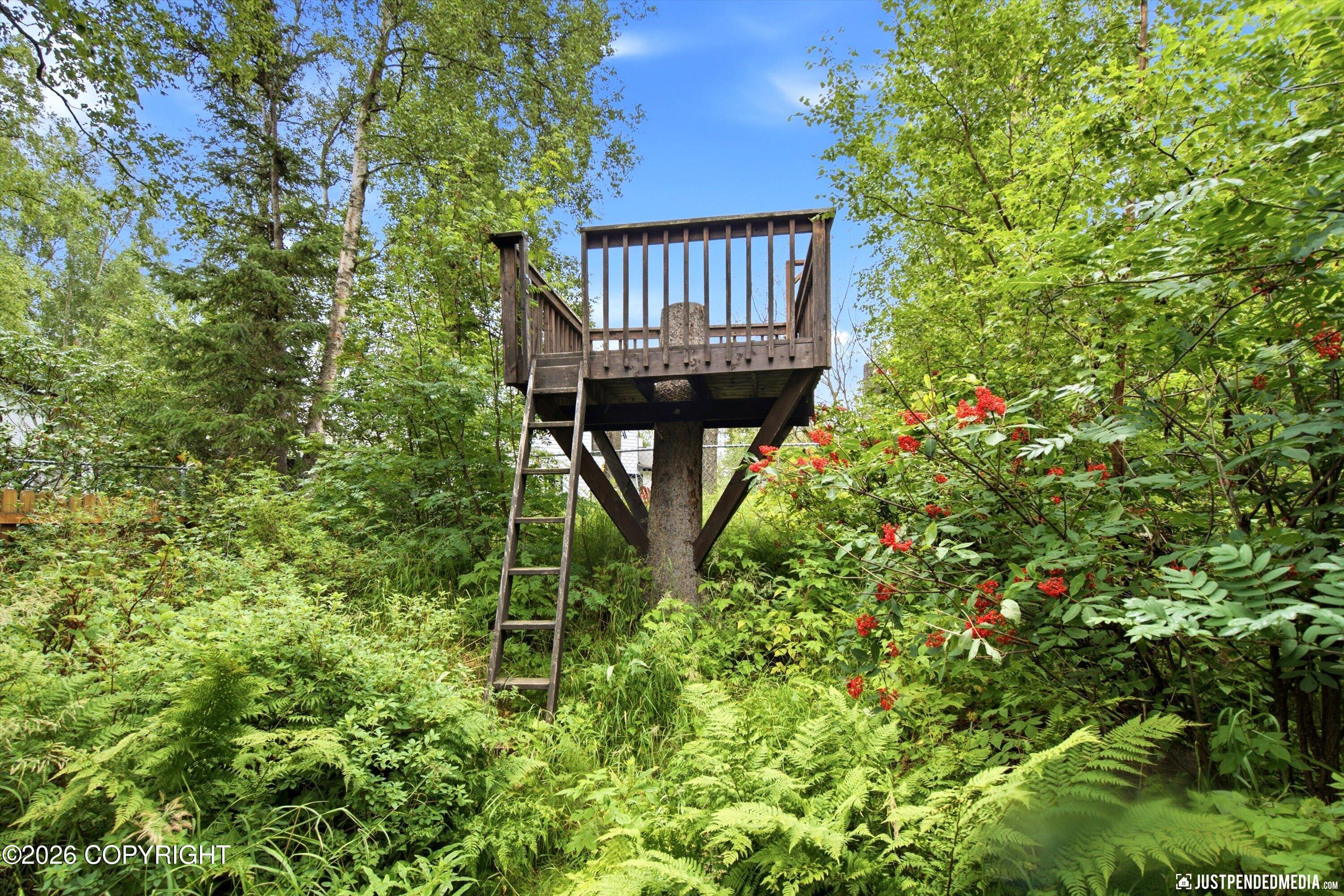 10014 Main Tree Drive Property Photo 62