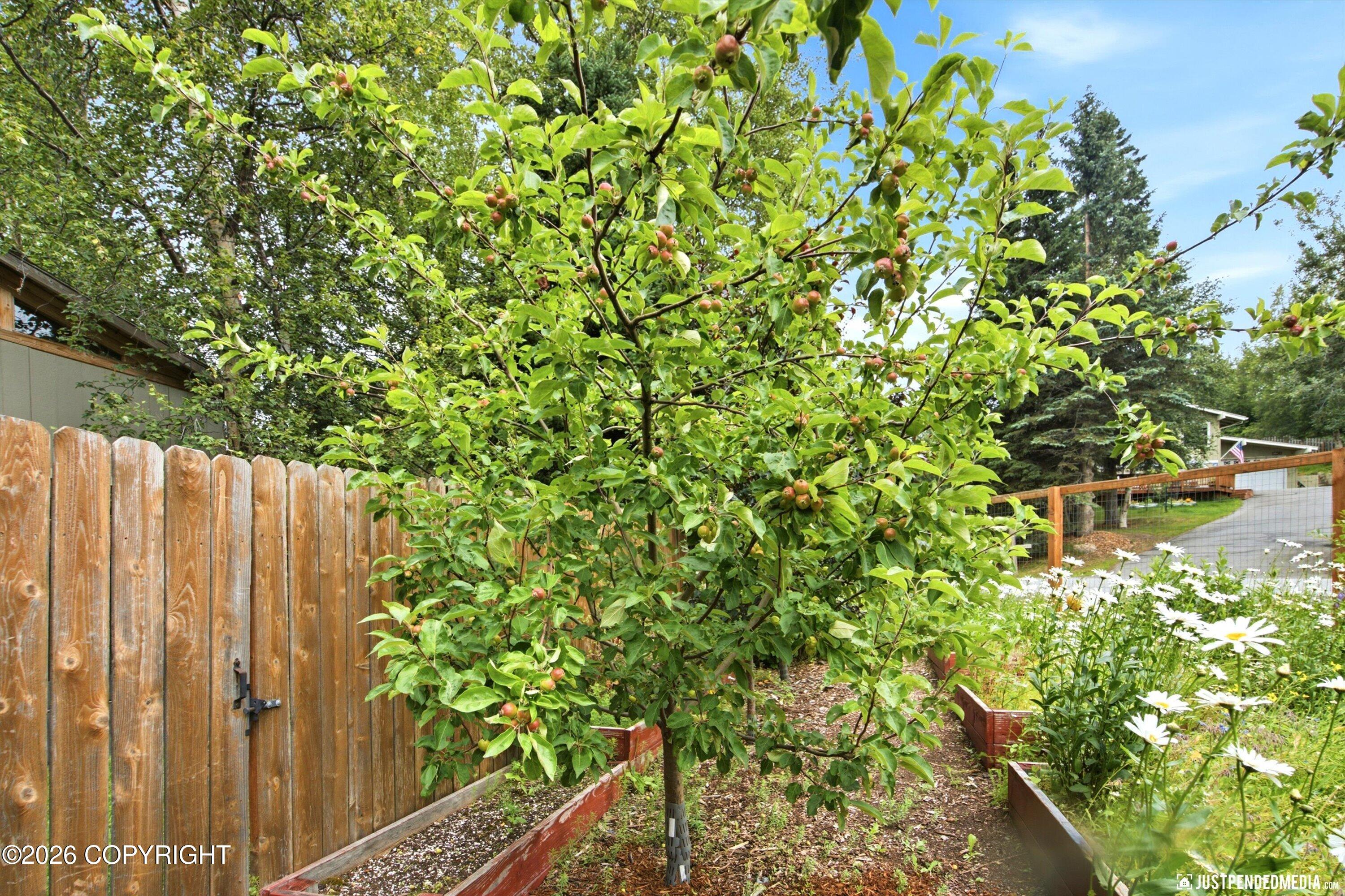 10014 Main Tree Drive Property Photo 72