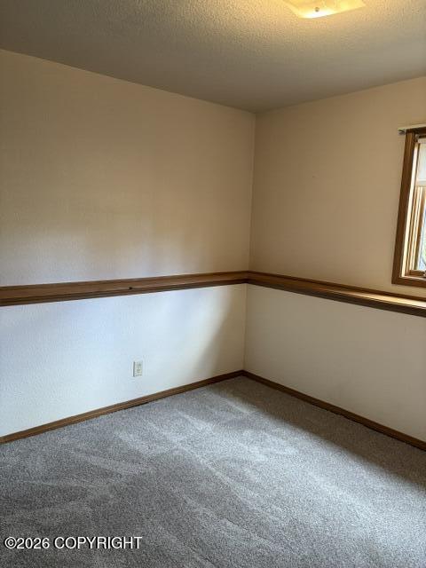 3700 Gary Cooper Circle Property Photo 31