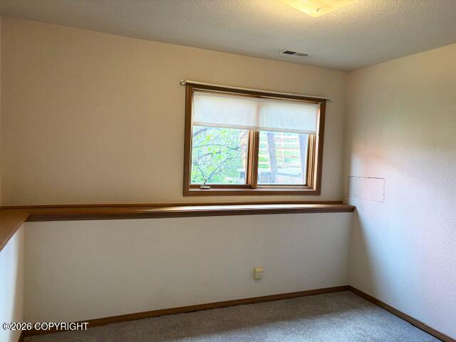 3700 Gary Cooper Circle Property Photo 35